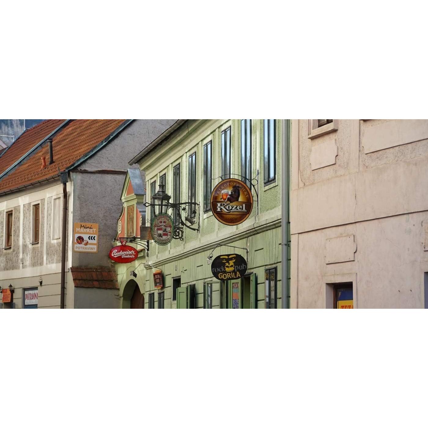 Lente Sony SELP18105G E PZ 18-105mm F4 G OSS Negro