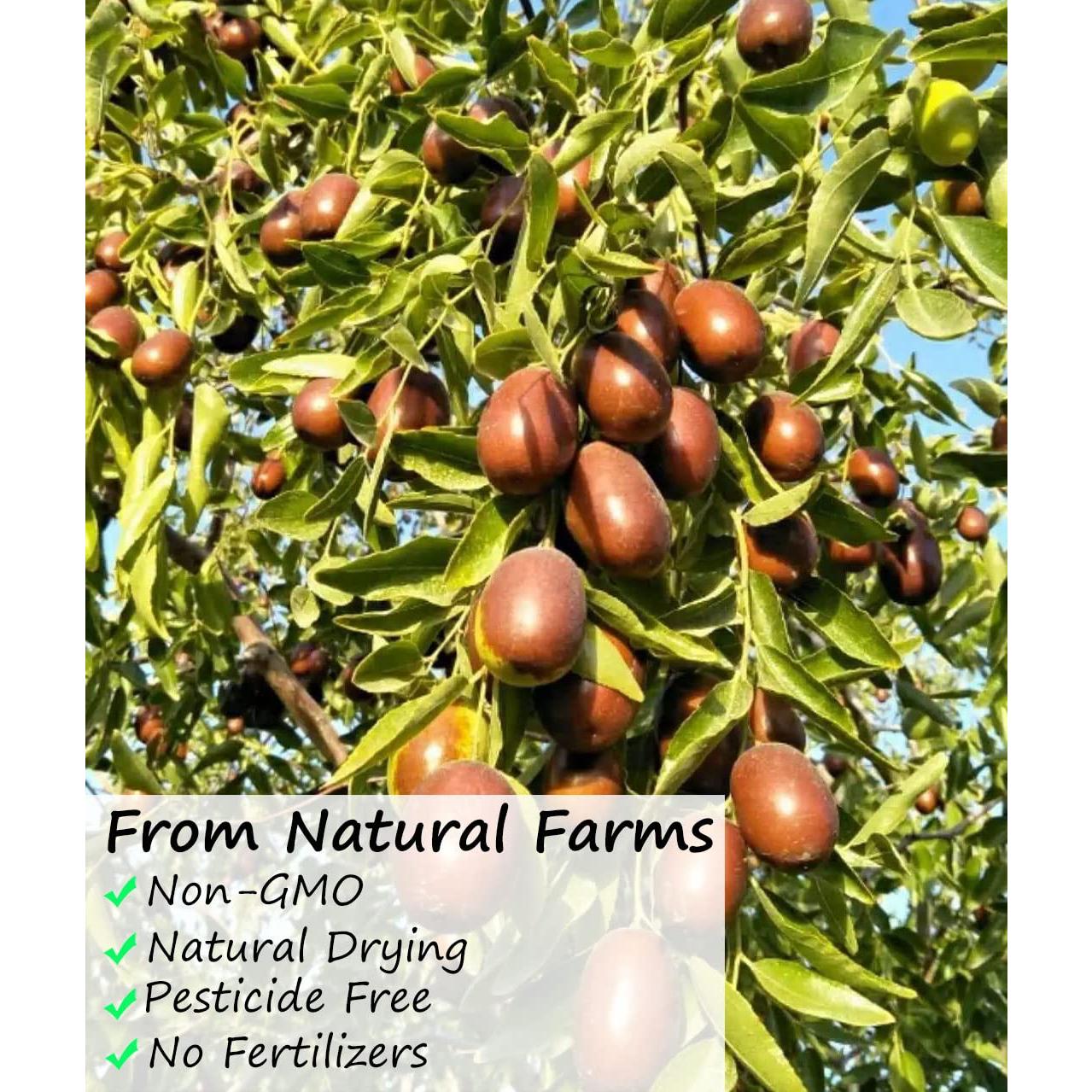 Dátiles Rojos Jujube YILINSHA 453g 100% Naturales