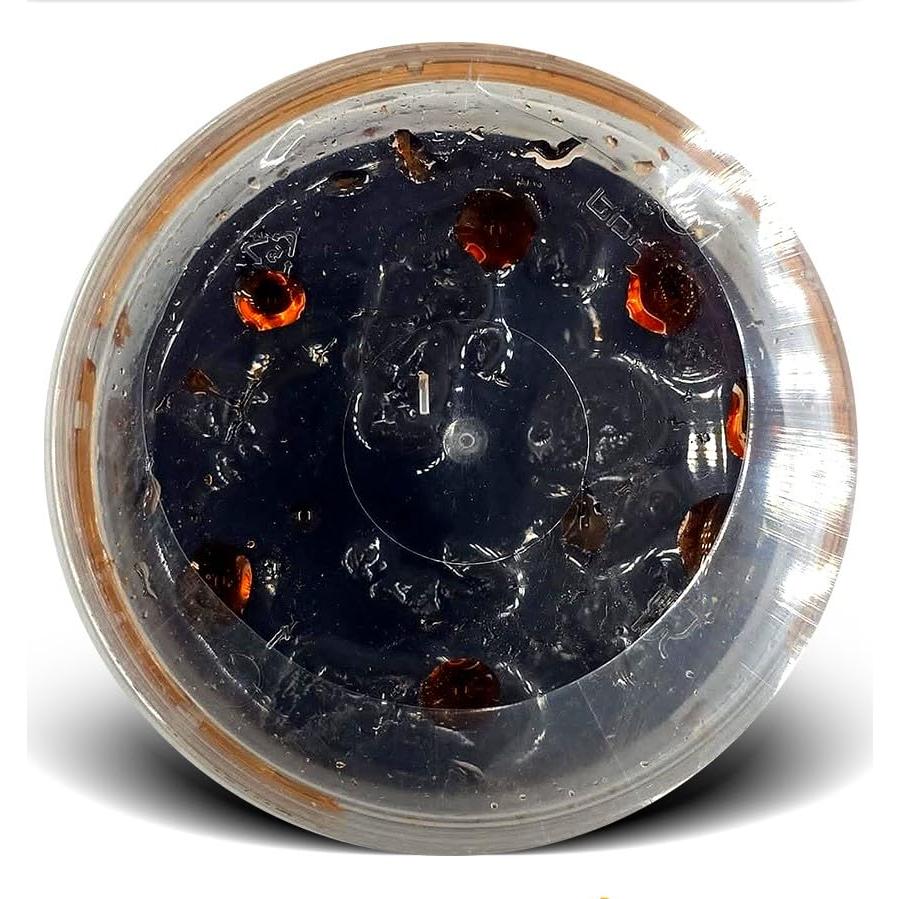 Rollos de Lavashak Húmedos y Jugosos Goldis 260g - Melaza de Granada