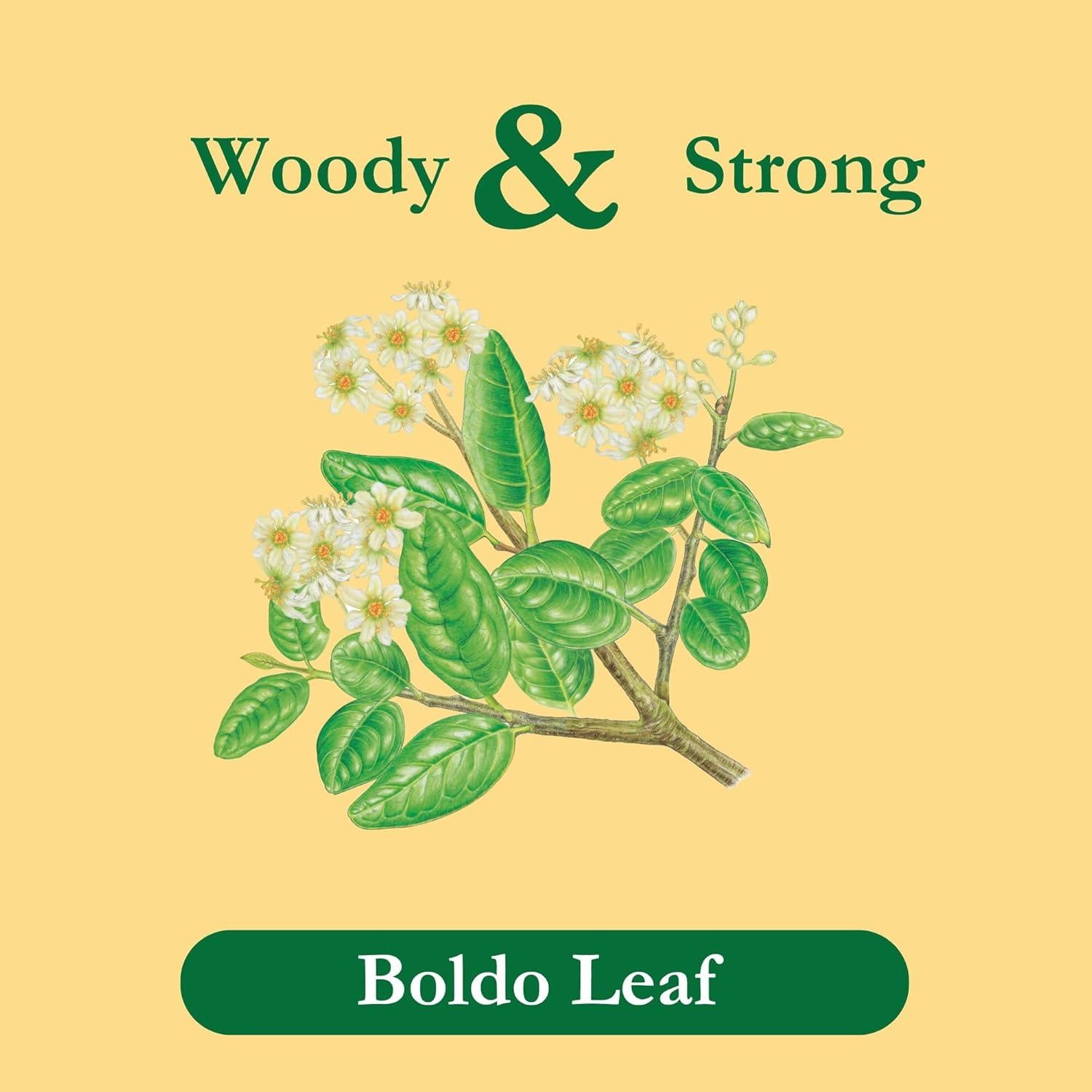 Té de Boldo Herbal Tadin, Sin Cafeína, 144 Cuentos