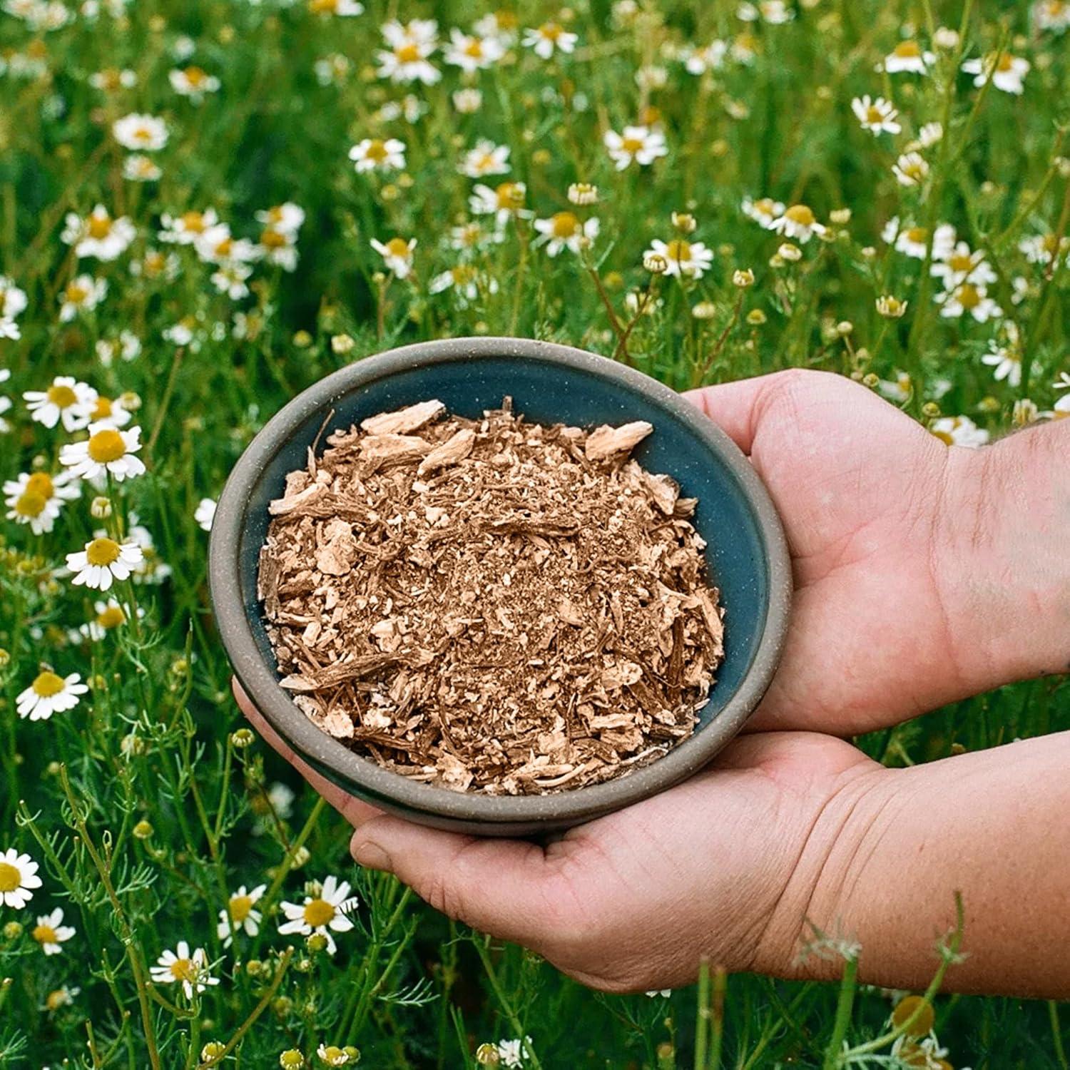 Raíz de Angélica Jovvily 0.45 kg - Té Herbal Cortado y Tamizado