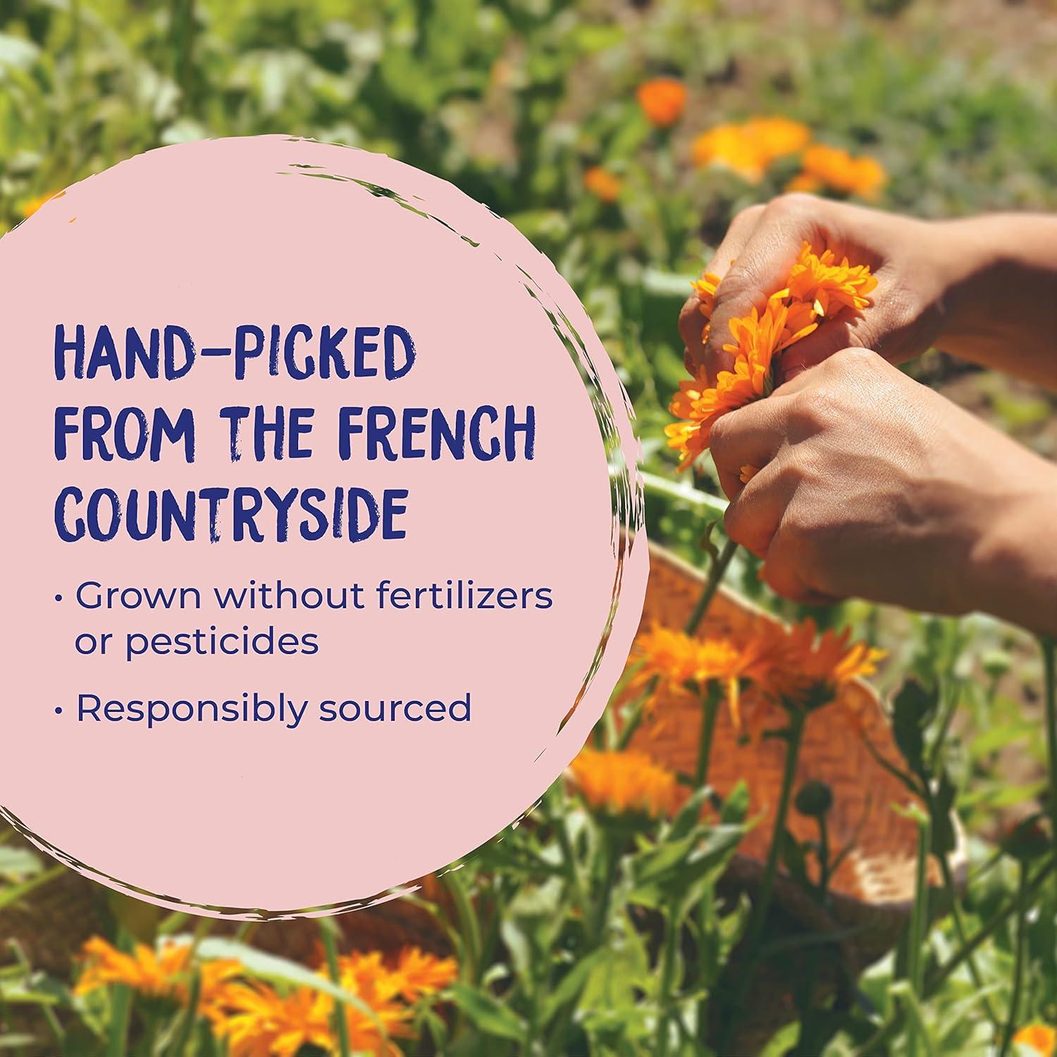 Gel de Caléndula Boiron 42.52 g - Alivio Erupciones y Quemaduras