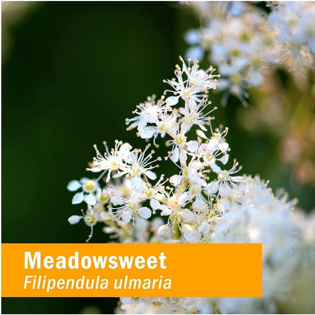 Extracto Líquido de Meadowsweet Orgánico Herb Pharm 29.57 ml