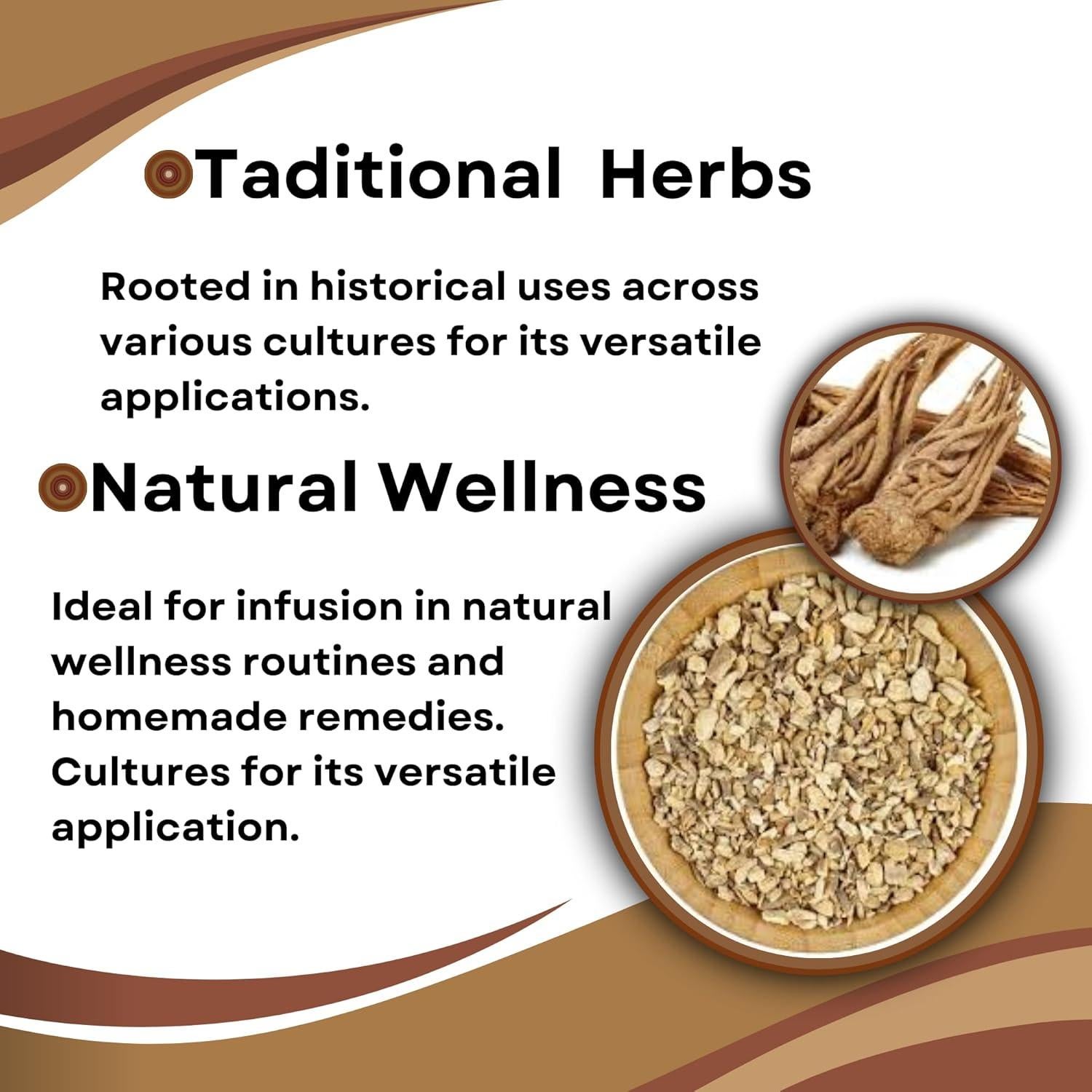 Raíz de Angélica Archangelica 99.22 g - Té Herbal Premium