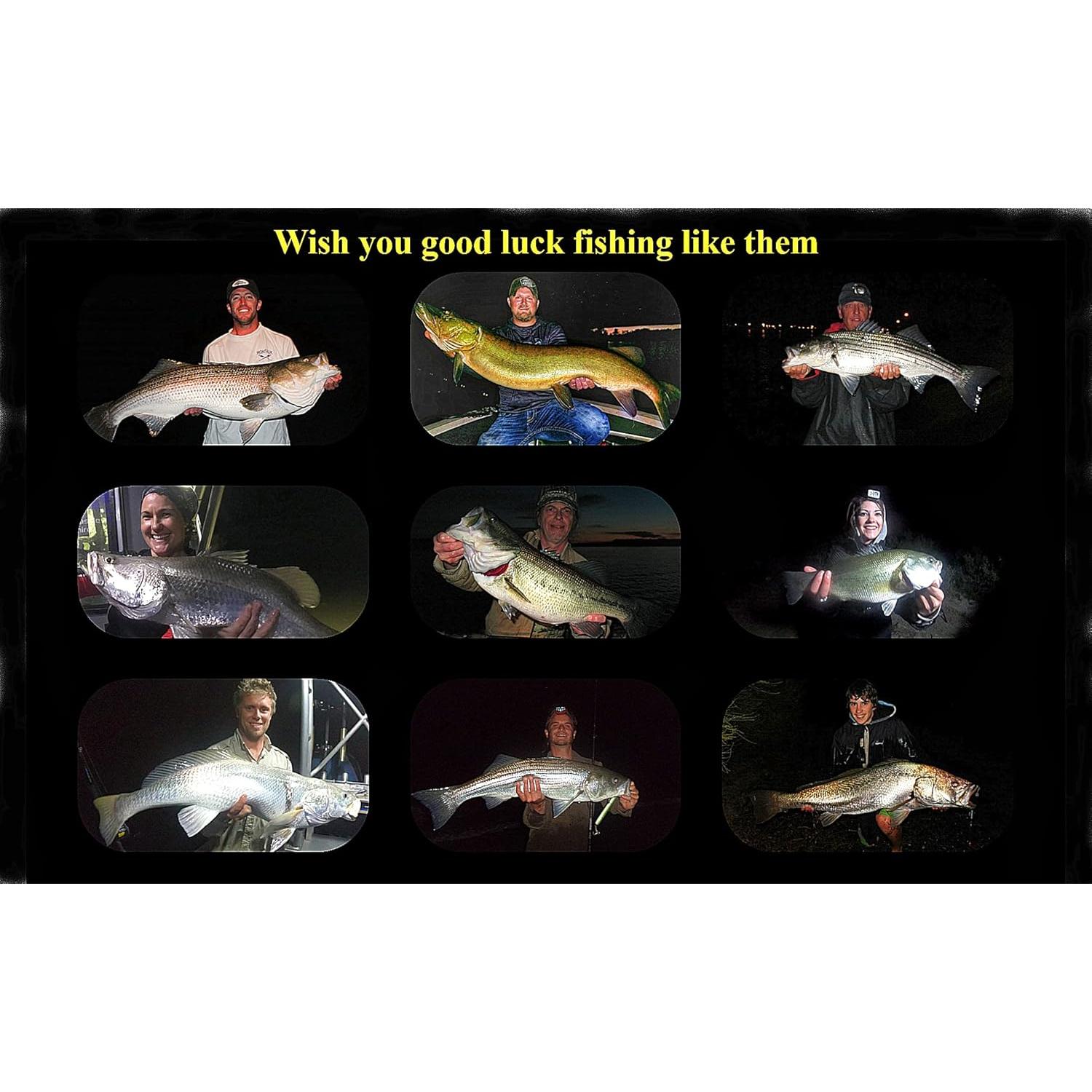 Palos de Luz para Pesca TRZLIFE 100pcs 3.81cm Alta Visibilidad