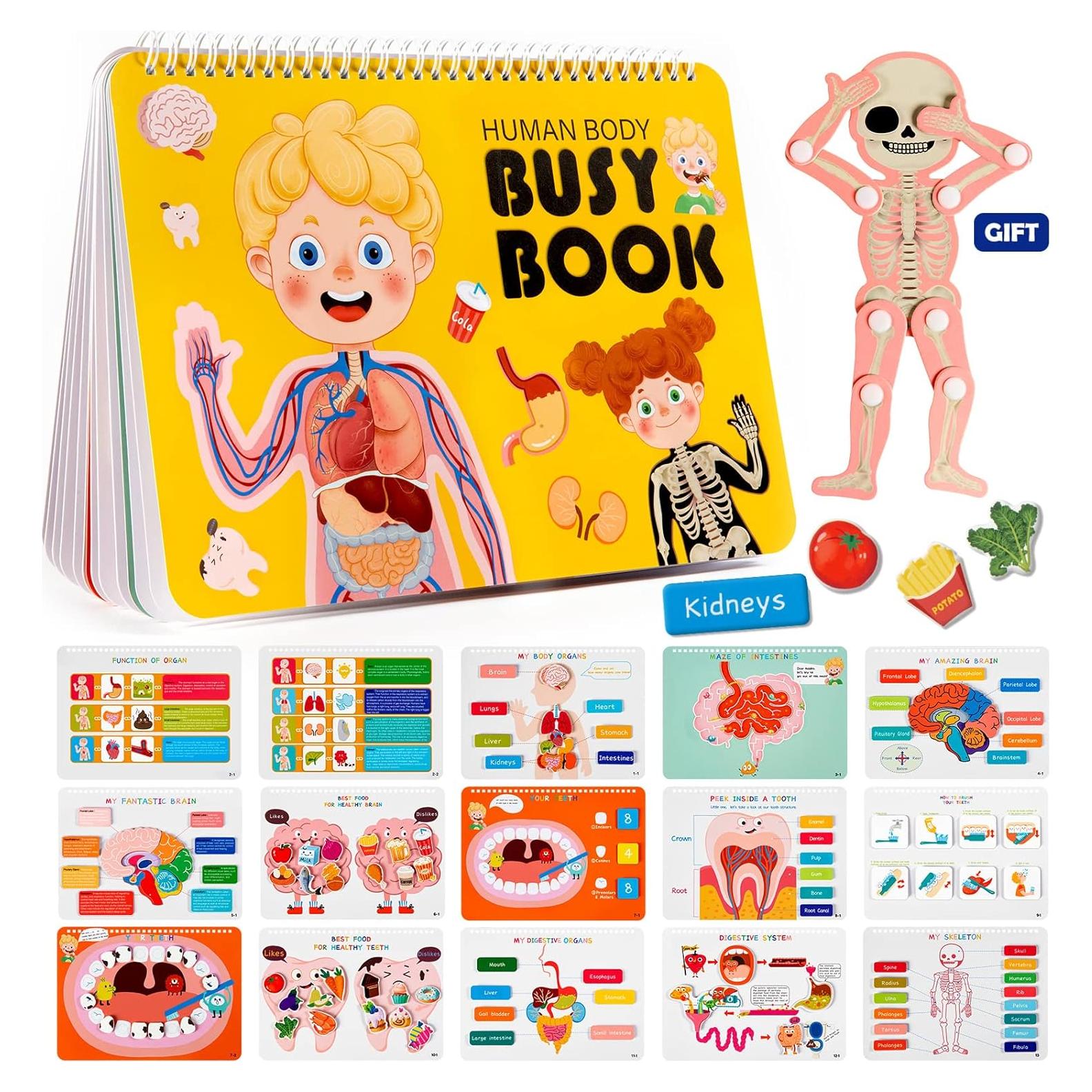 Libro Ocupado Montessori Freebear Anatomía Cuerpo Humano 0-8 Años