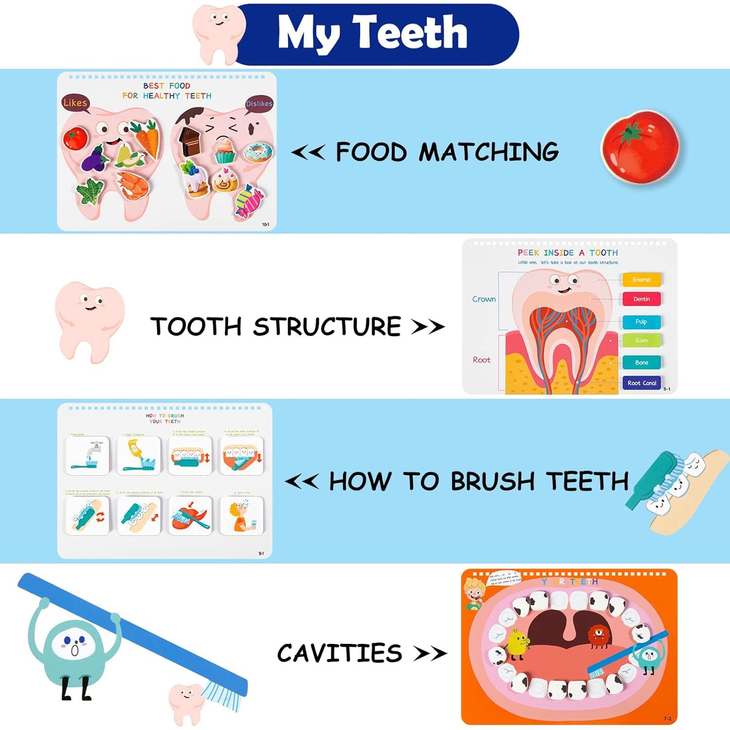 Libro Ocupado Montessori Freebear Anatomía Cuerpo Humano 0-8 Años