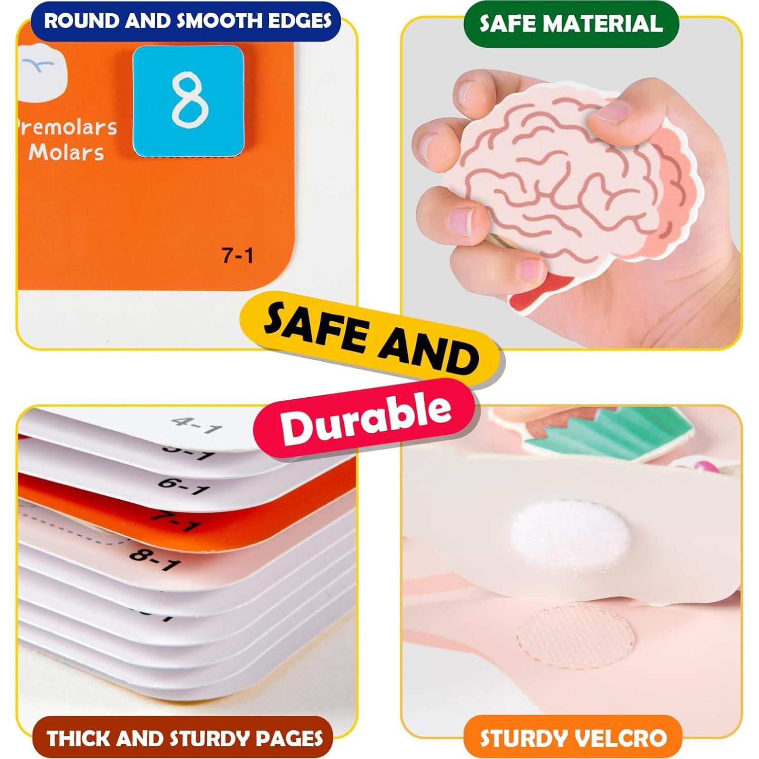 Libro Ocupado Montessori Freebear Anatomía Cuerpo Humano 0-8 Años