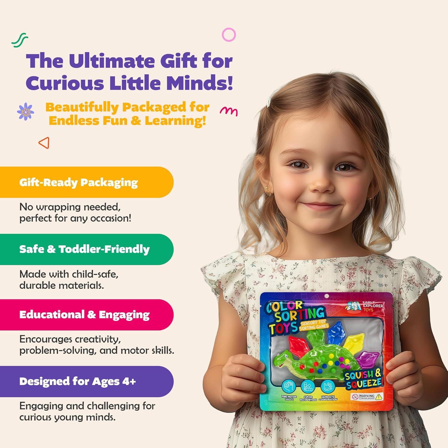 Paquete de 4 Juguetes Sensoriales de Clasificación de Color - Early Explorer Toys