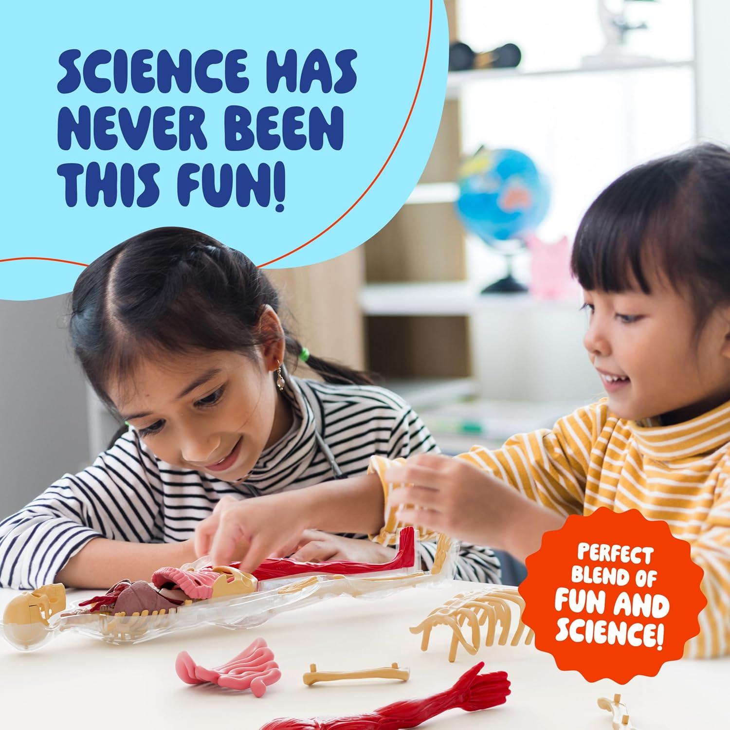 Dan&Darci Cuerpo Humano Squishy - Juguete Educativo 4-8 Años