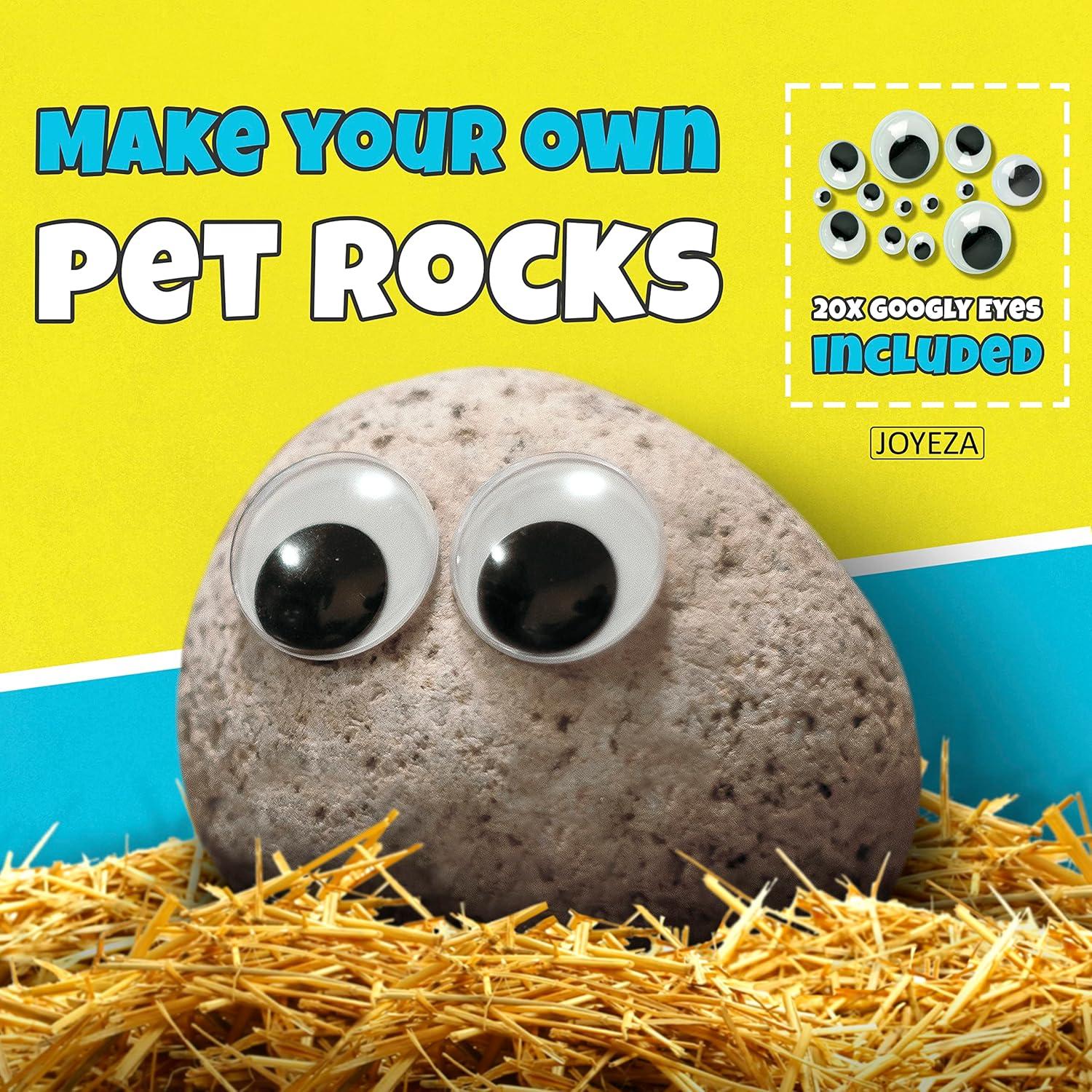 Kit de Pintura de Rocas JOYEZA - 12 Rocas y Pinturas Impermeables