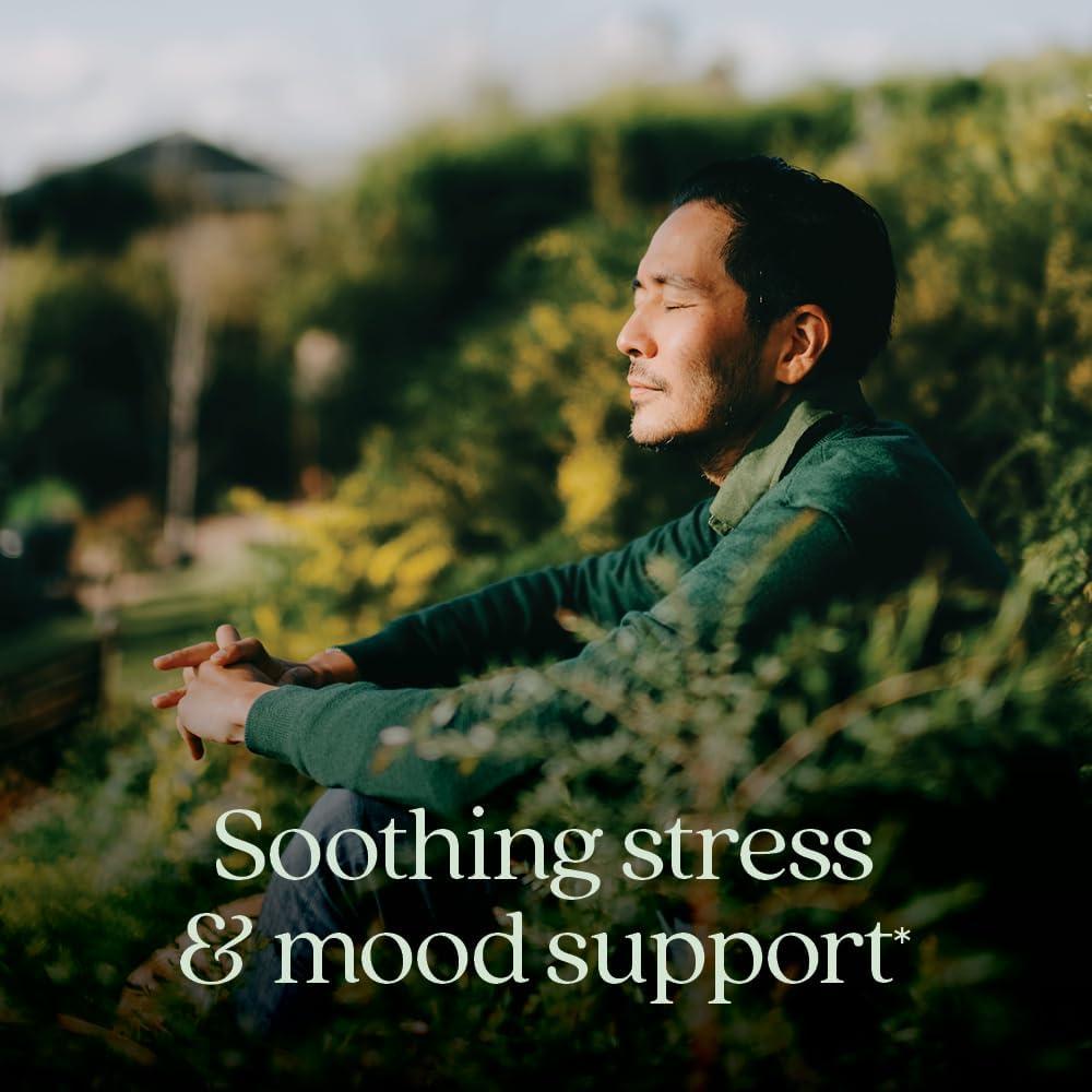 Multivitamina Diaria Perfect Calm Nuevo Capítulo 144 Cápsulas