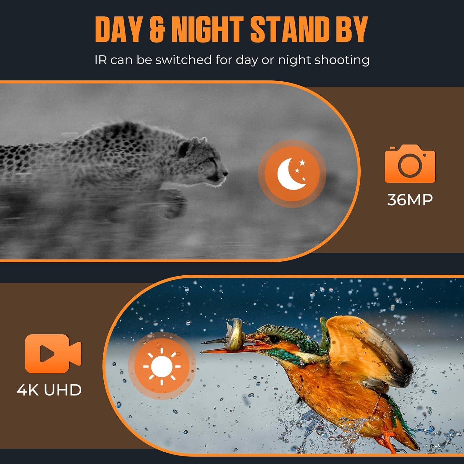 Binoculares de Visión Nocturna CIGMAN CNV02 40MP 8X IR