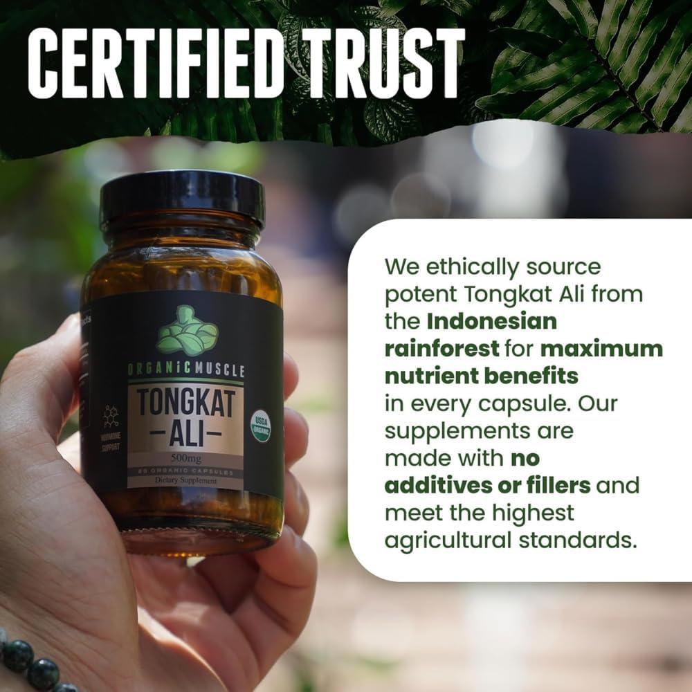 Suplemento Tongkat Ali Orgánico Musculo Orgánico 500mg 60 Cápsulas