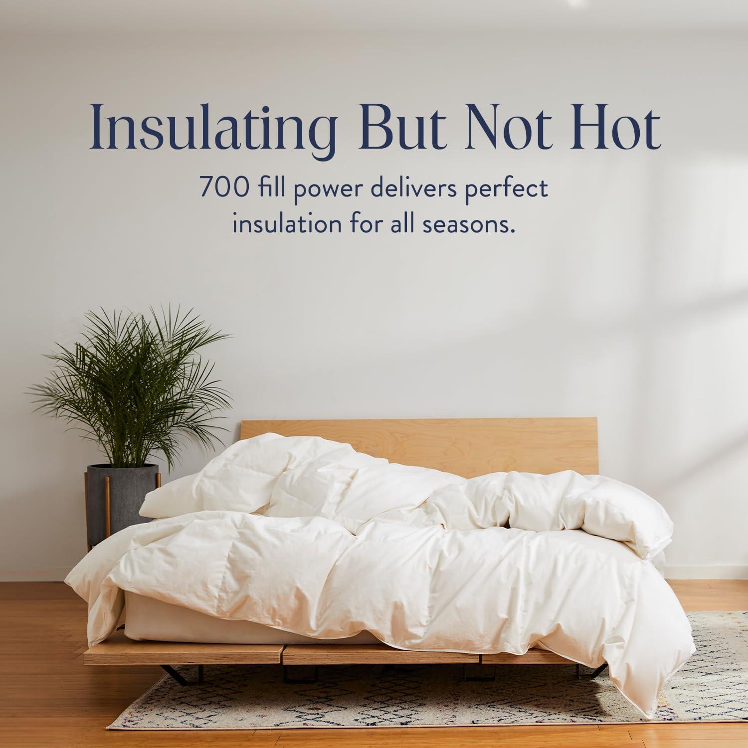 Edredón de Plumas Brooklinen King 700 Relleno Blanco