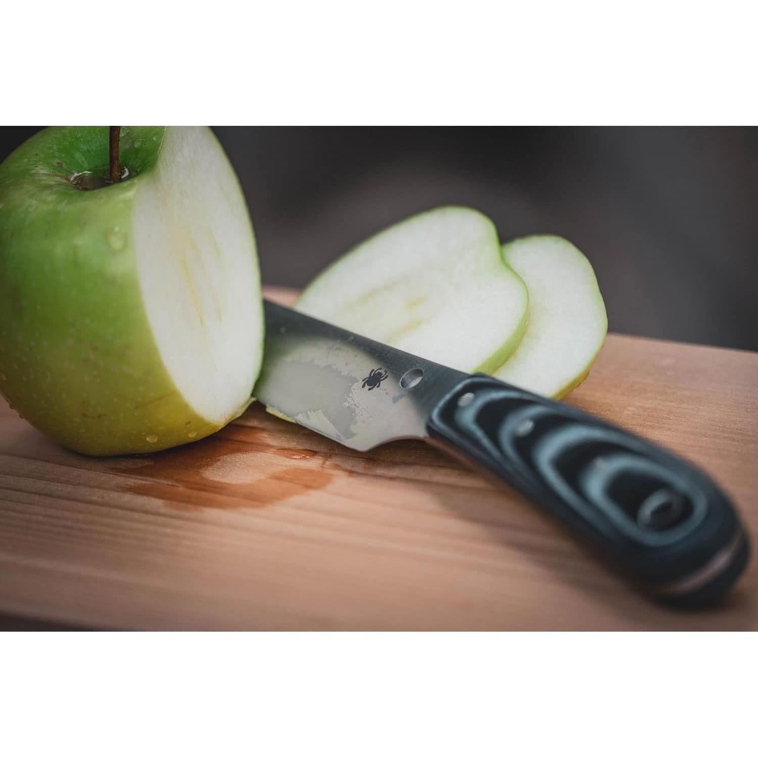 Cuchillo de Caza Spyderco Bow River 11.05 cm Acero Inoxidable