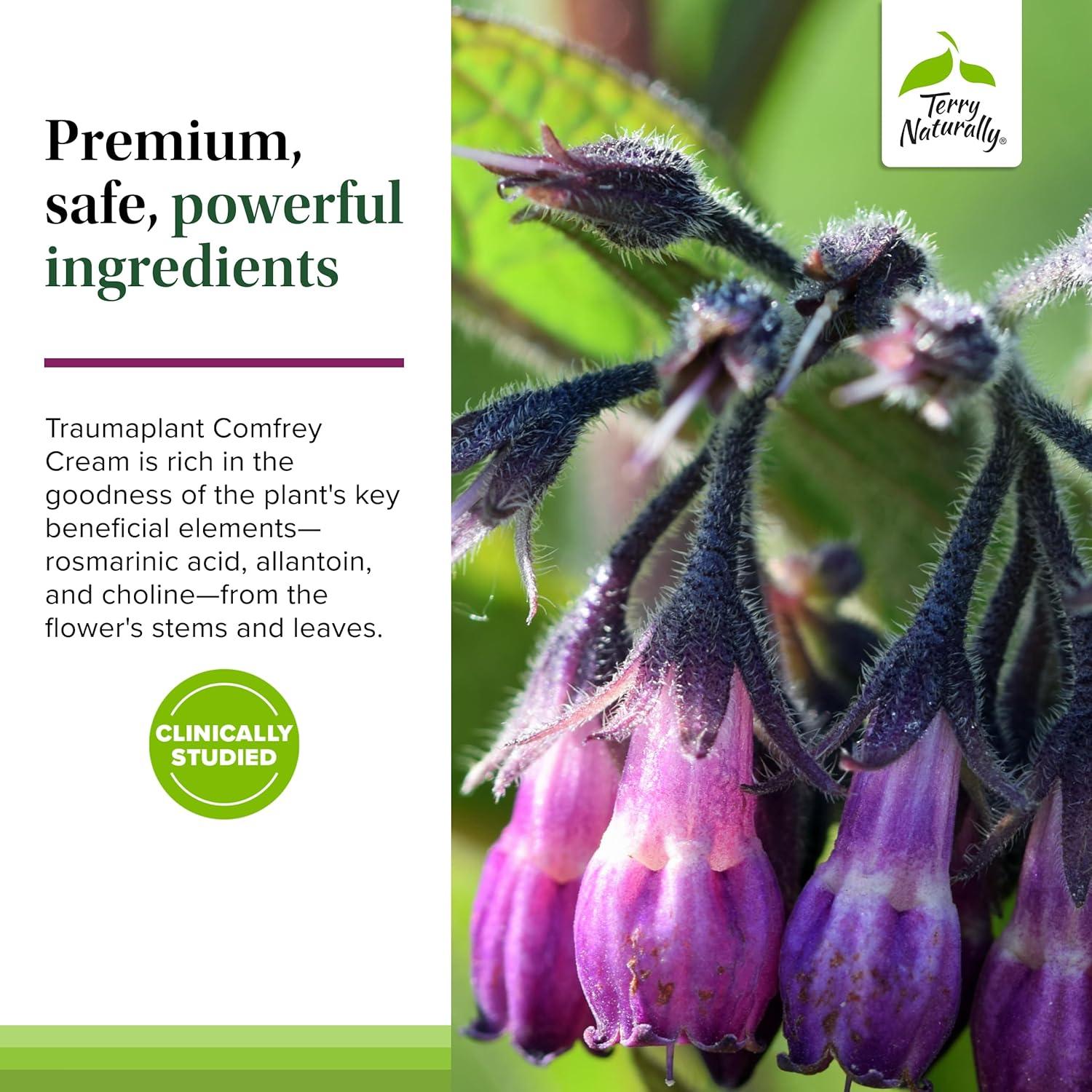 Crema de Consuelda Traumaplant Terry Naturally 50 g - Herbal No Manchante