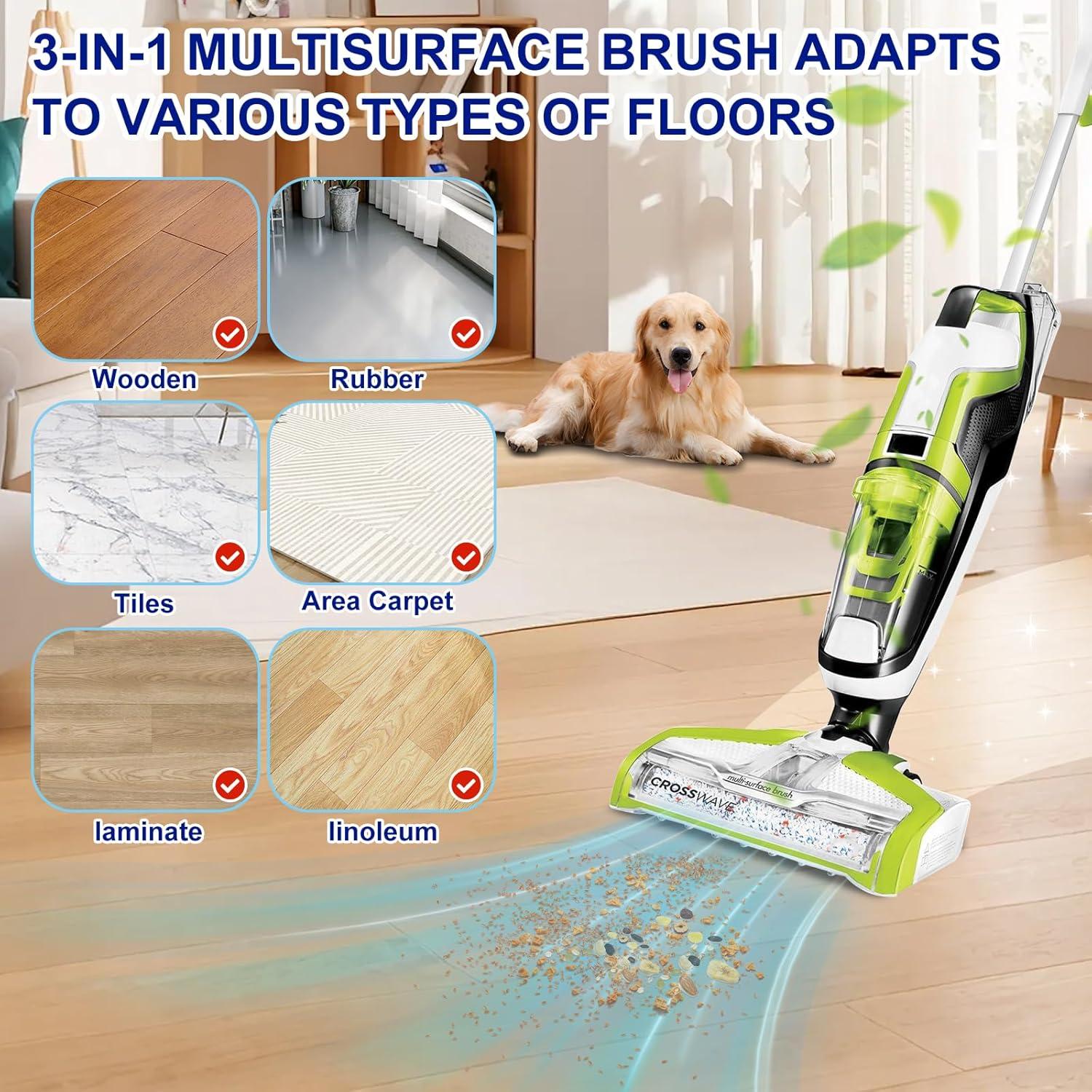 Rodillos de Cepillo Multi-Superficie Lemige + Filtros Bissell