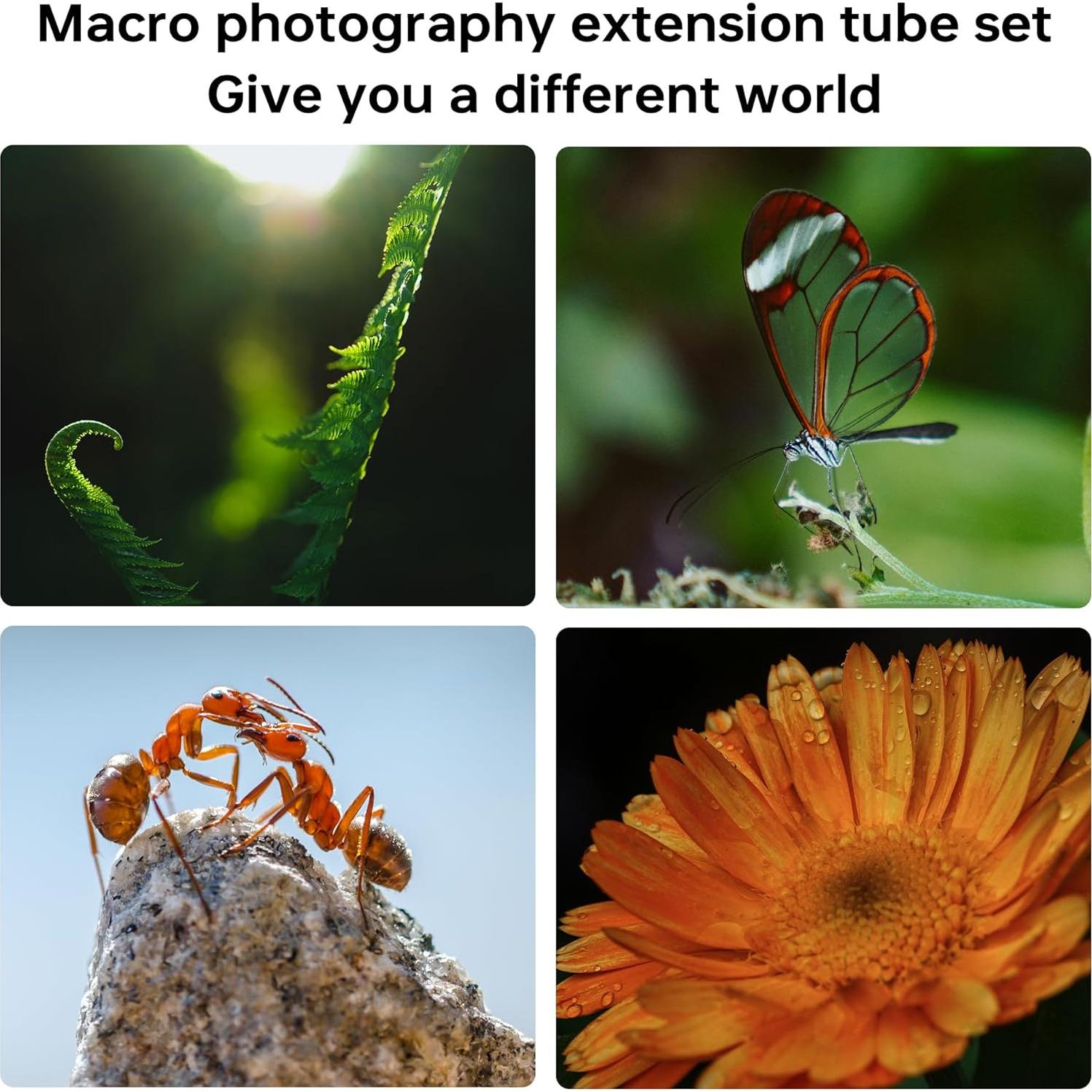 Anillo Adaptador VILTROX DG-C Tubos de Extensión Macro Canon