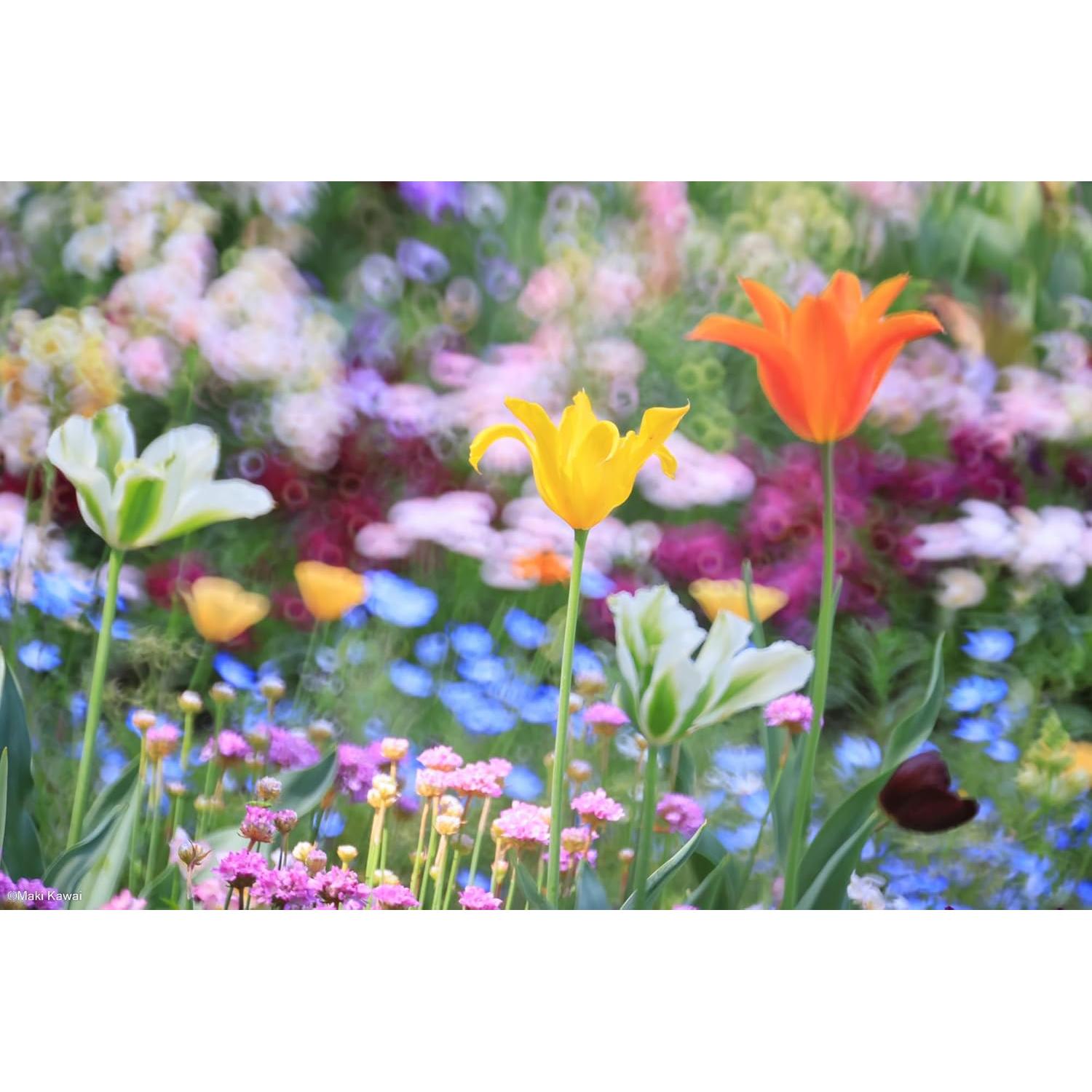 Lente Telefoto Tokina SZX 400mm F8 Reflex MF Micro 4/3