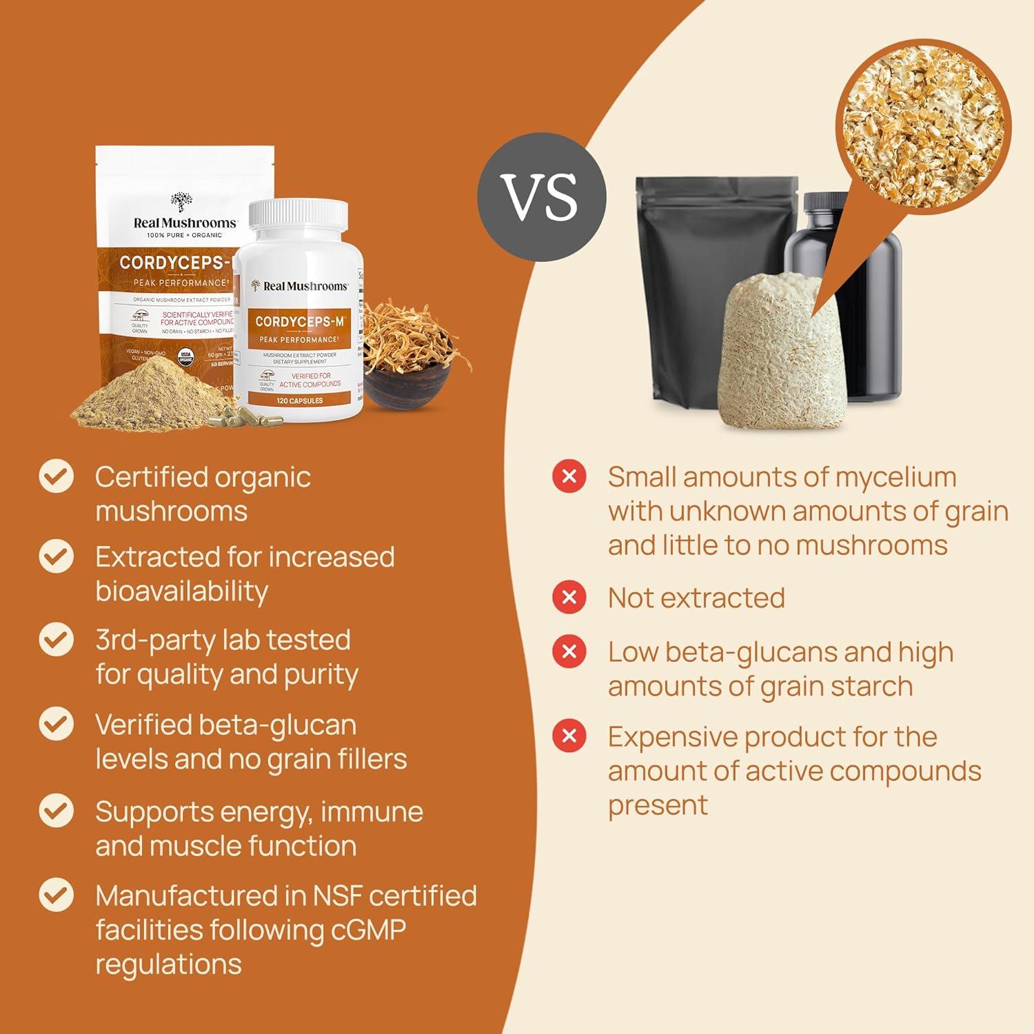 Cápsulas de Hongo Cordyceps Orgánico Reales - 300 Unidades