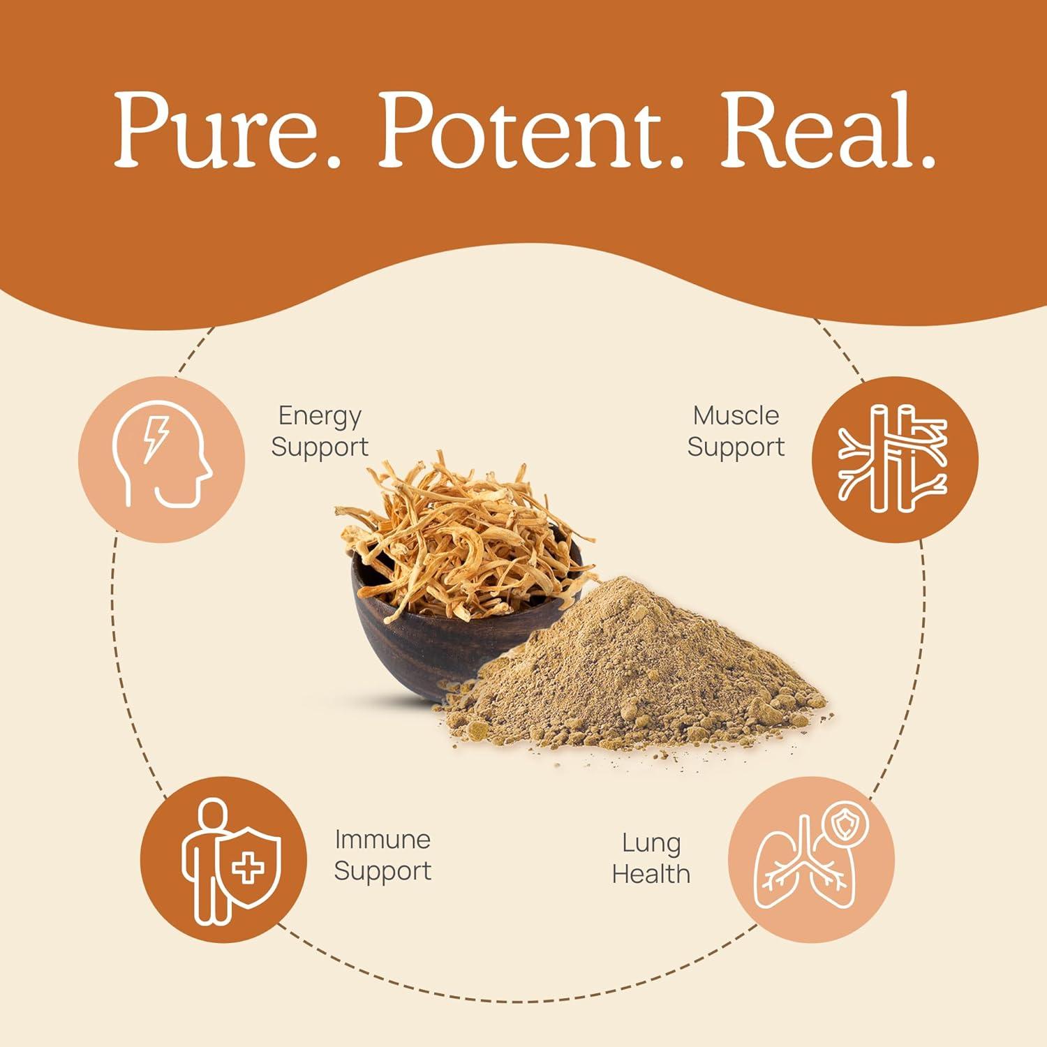 Polvo Orgánico de Hongo Cordyceps Real Mushrooms 150 Porciones