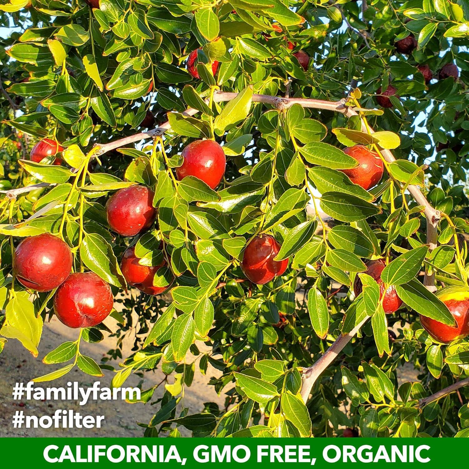 Crisps de Jujube Orgánico JUJUME 170g - Snack Saludable Sin Azúcar