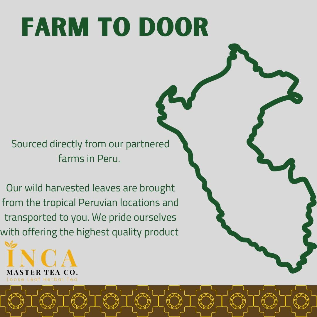 Té Natural Chanca Piedra Inca Master 100% Orgánico 100g