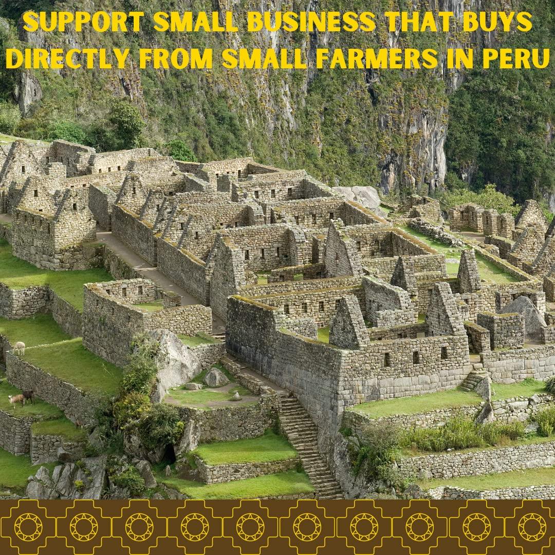 Té Natural Chanca Piedra Inca Master 100% Orgánico 100g