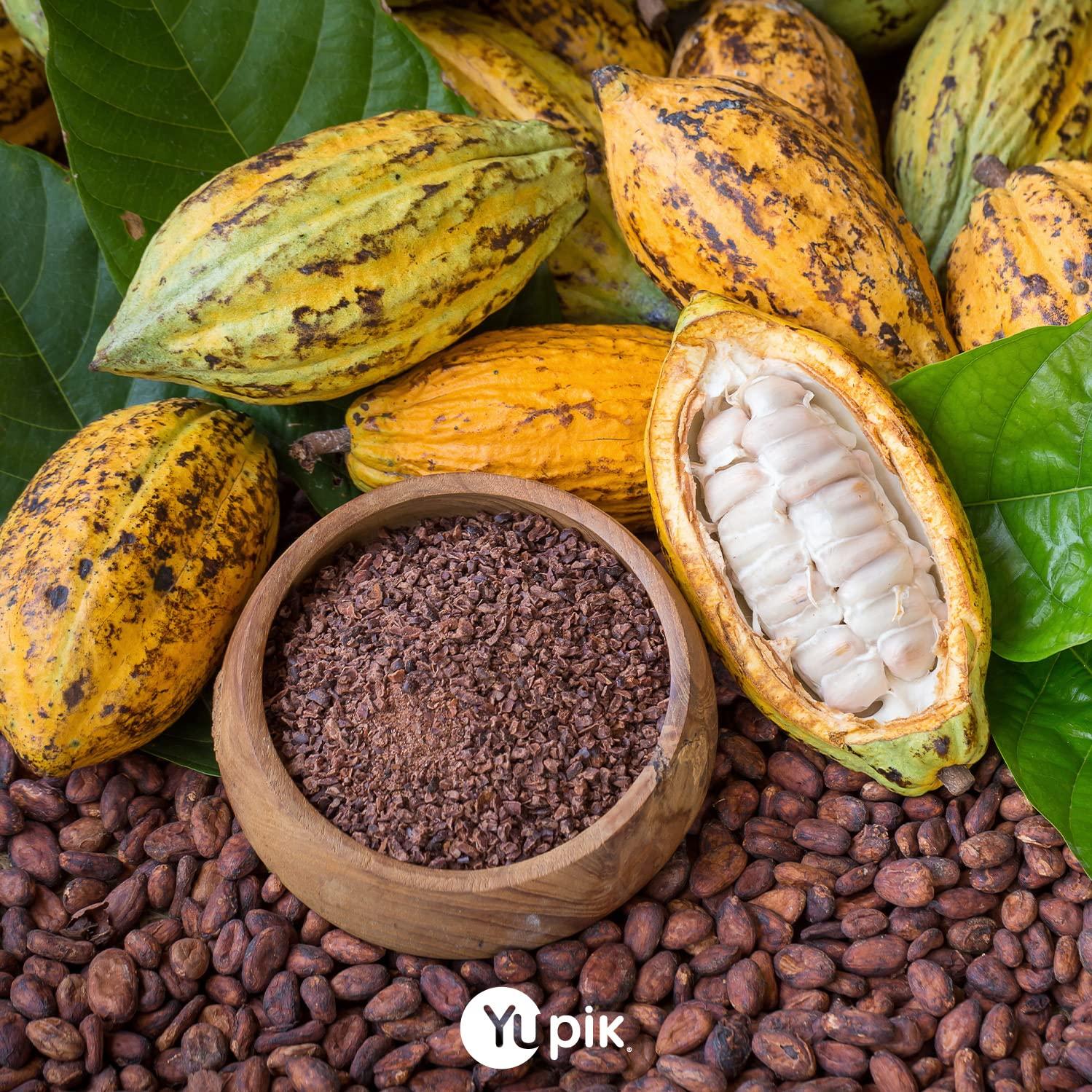 Frijoles de Cacao Crudo Orgánico Yupik 1 kg Vegano Sin Gluten