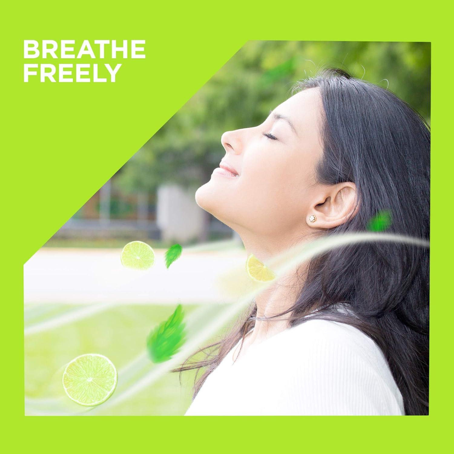 Toallitas de limpieza CPAP Care Touch - 140 unidades aromatizadas