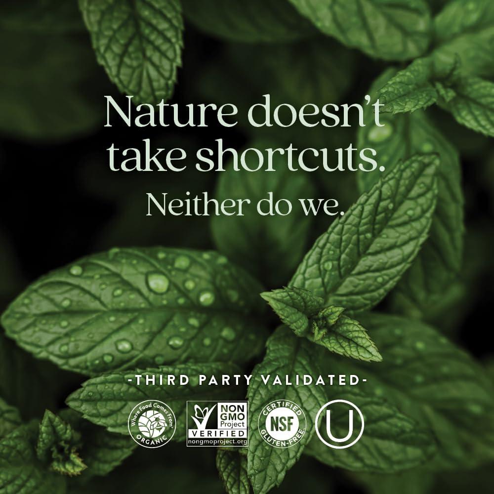 Suplemento de Hierro Fermentado New Chapter 60 Tabletas