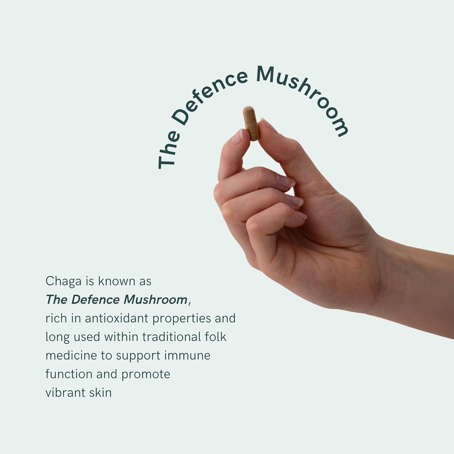 Cápsulas de Chaga BioActivo Dr Sosnowski 1000mg 120 Unidades