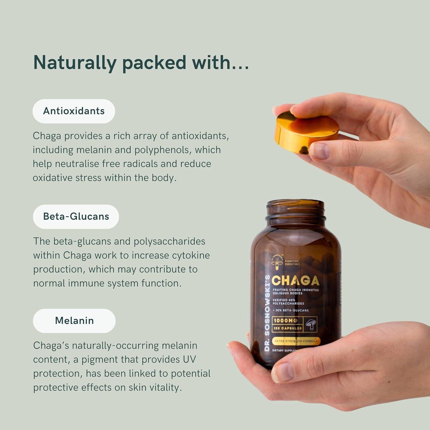 Cápsulas de Chaga BioActivo Dr Sosnowski 1000mg 120 Unidades