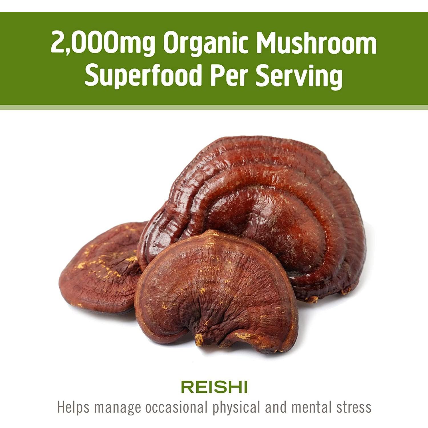 Cápsulas de Hongo Reishi Om Mushroom 90 Unidades Adaptógeno