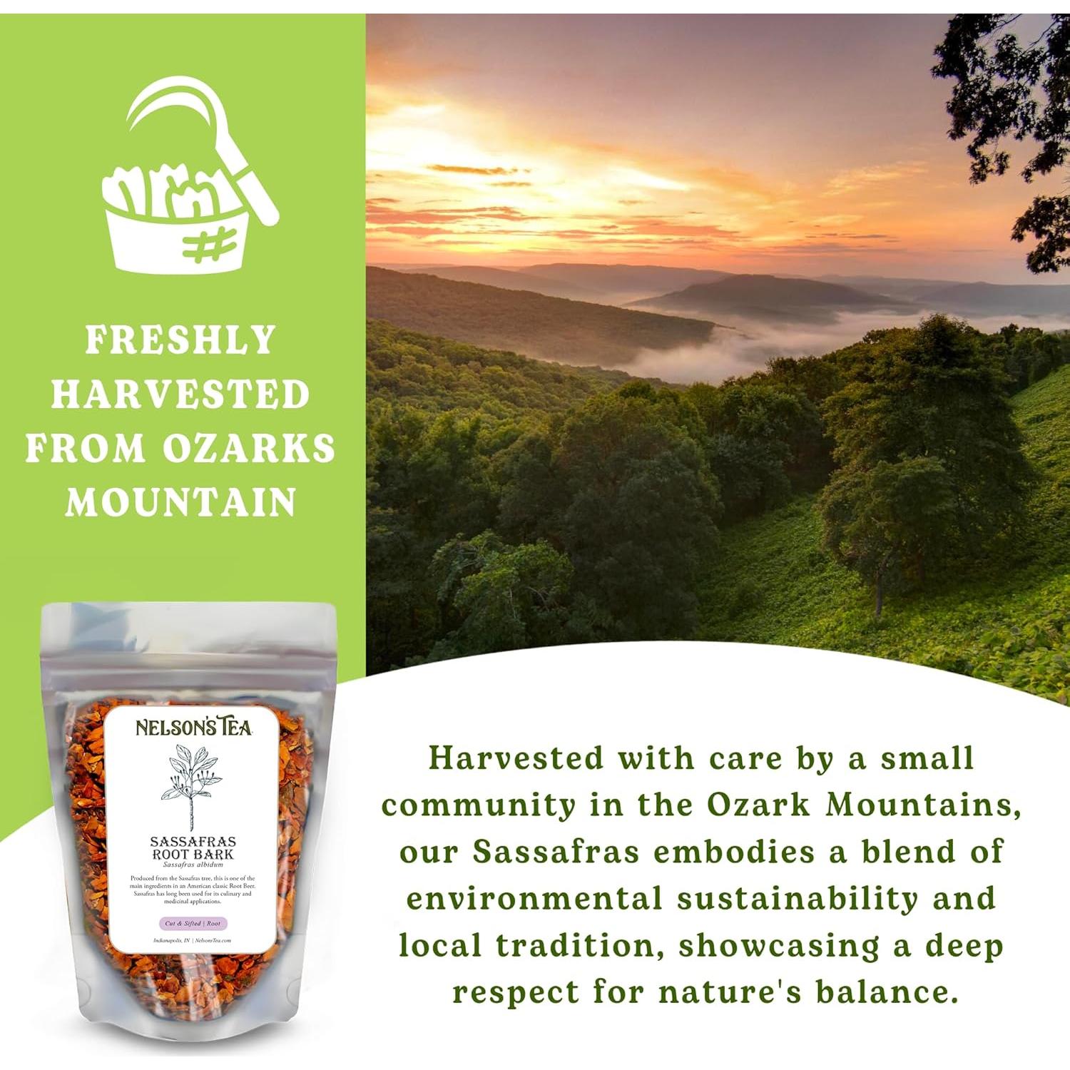 Té de Nelson - Corteza de Raíz de Sassafras 28.35g - Sin Cafeína