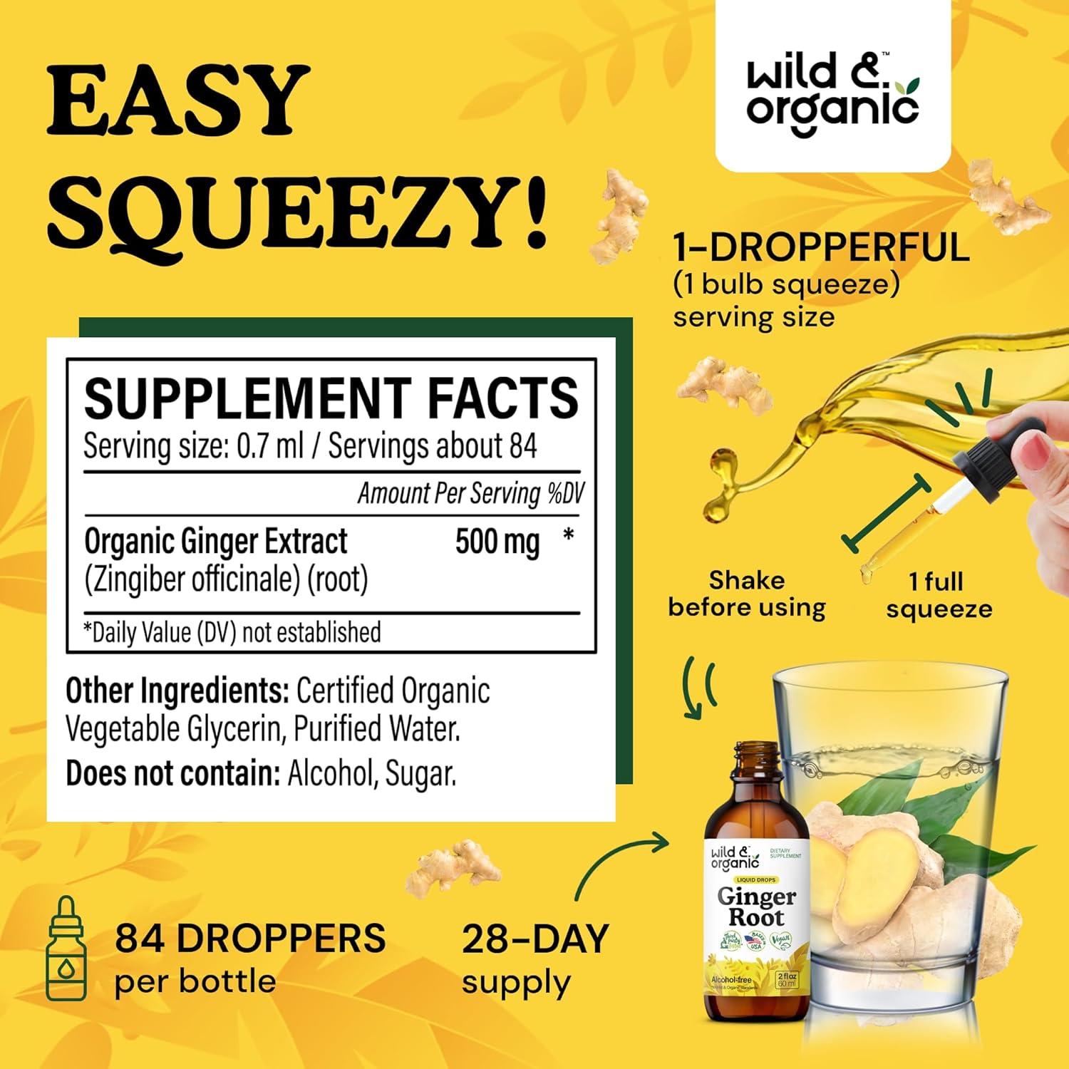 Extracto de Jengibre Silvestre Orgánico 59 ml - Suplemento Digestivo