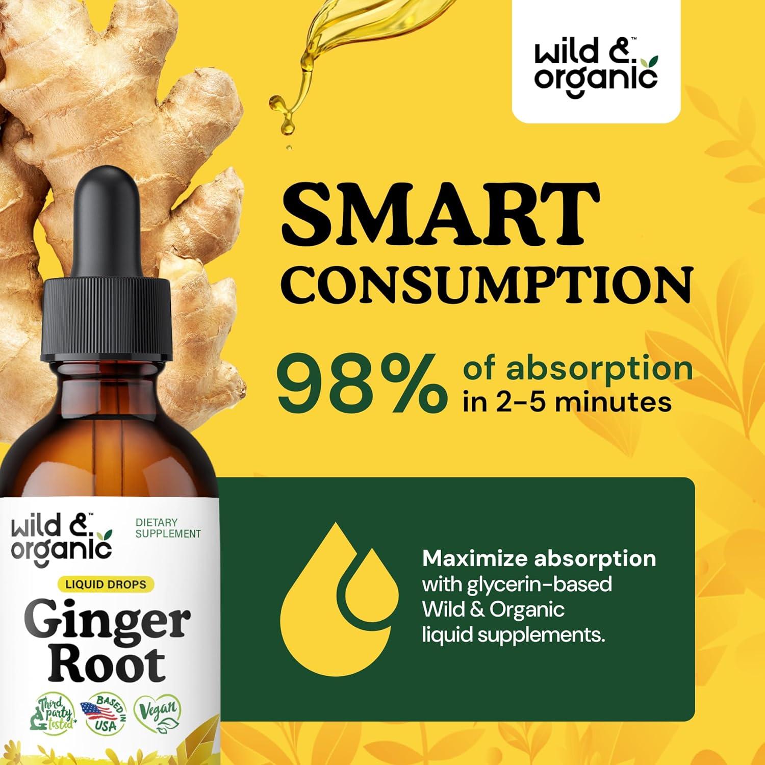 Extracto de Jengibre Silvestre Orgánico 59 ml - Suplemento Digestivo