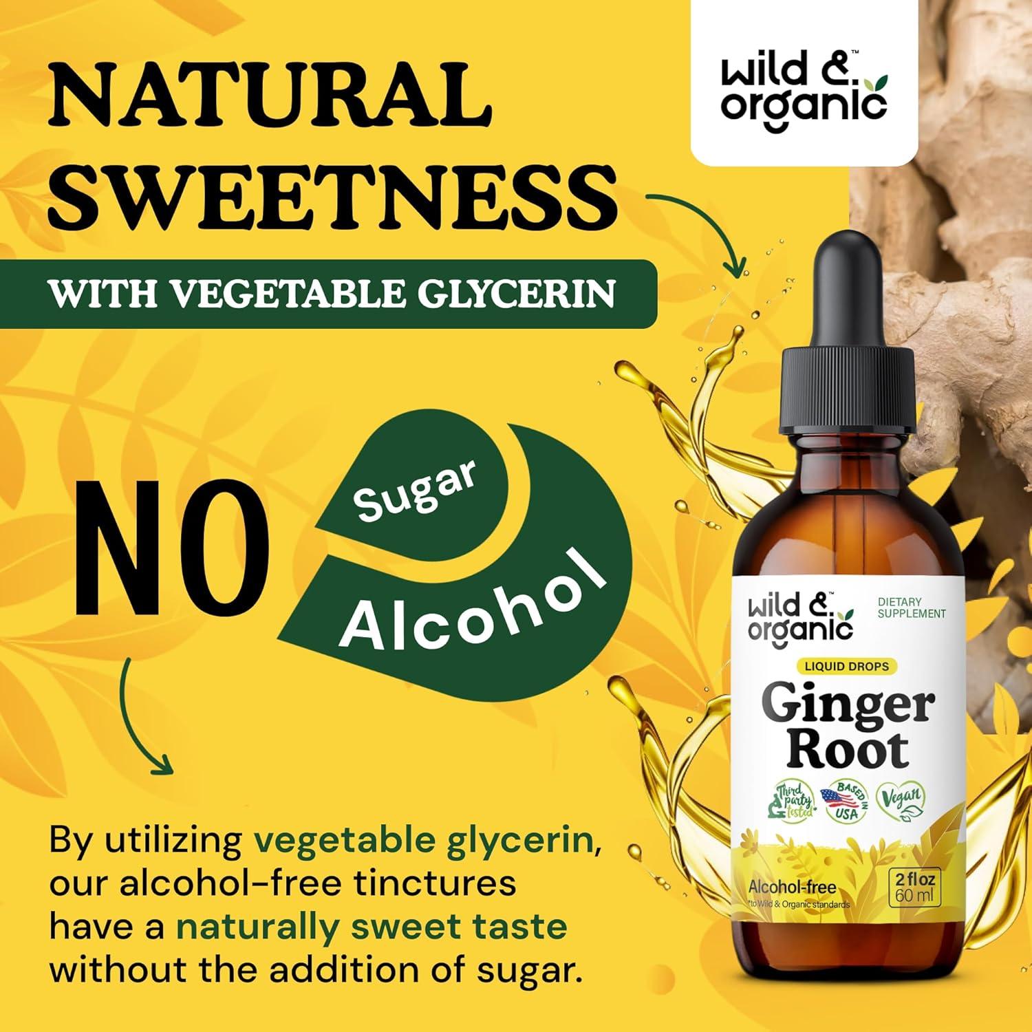 Extracto de Jengibre Silvestre Orgánico 59 ml - Suplemento Digestivo