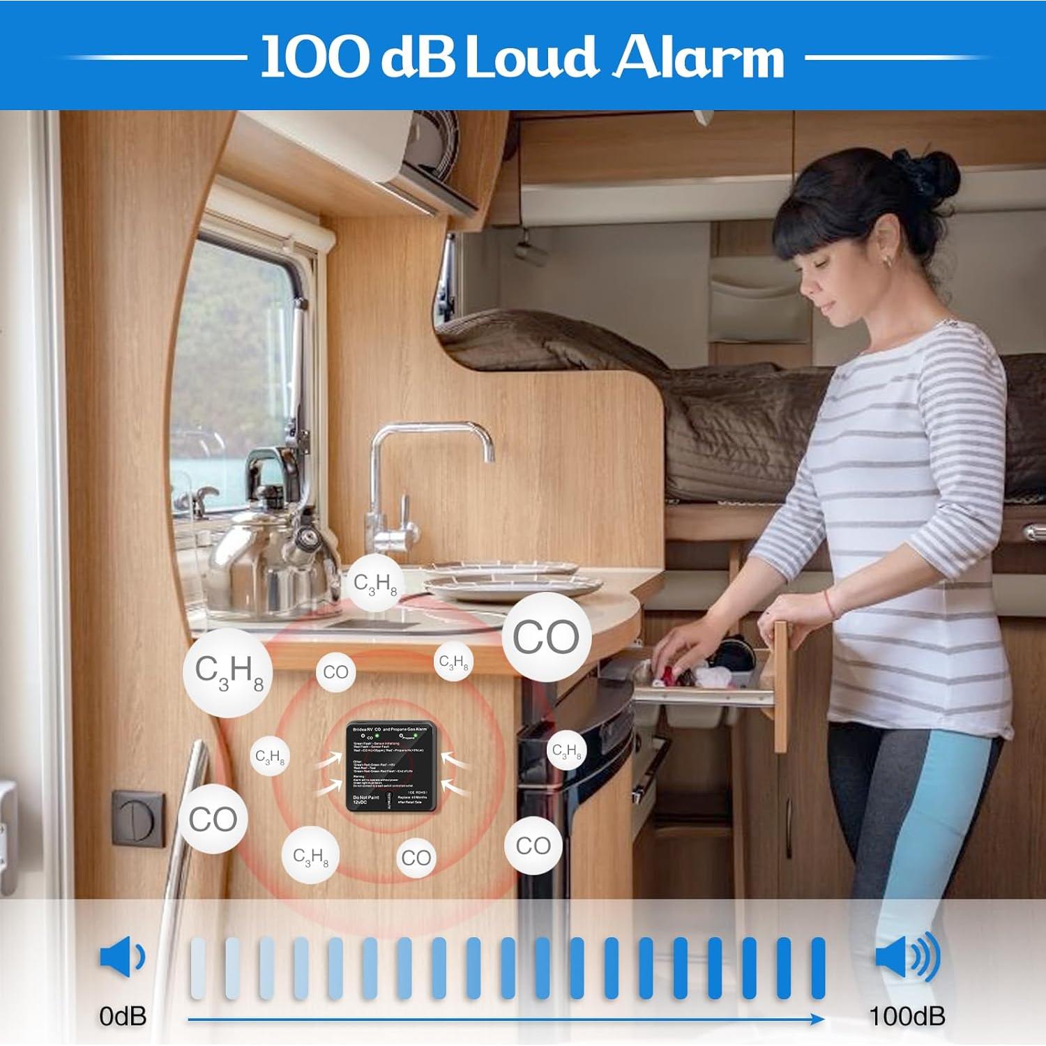 Detector de Monóxido de Carbono y Gas Propano Briidea 12V