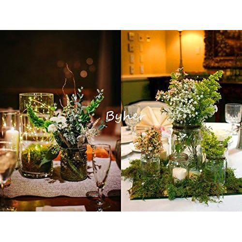 Musgo Conservado Byher 92926 Verde Fresco 0.45kg