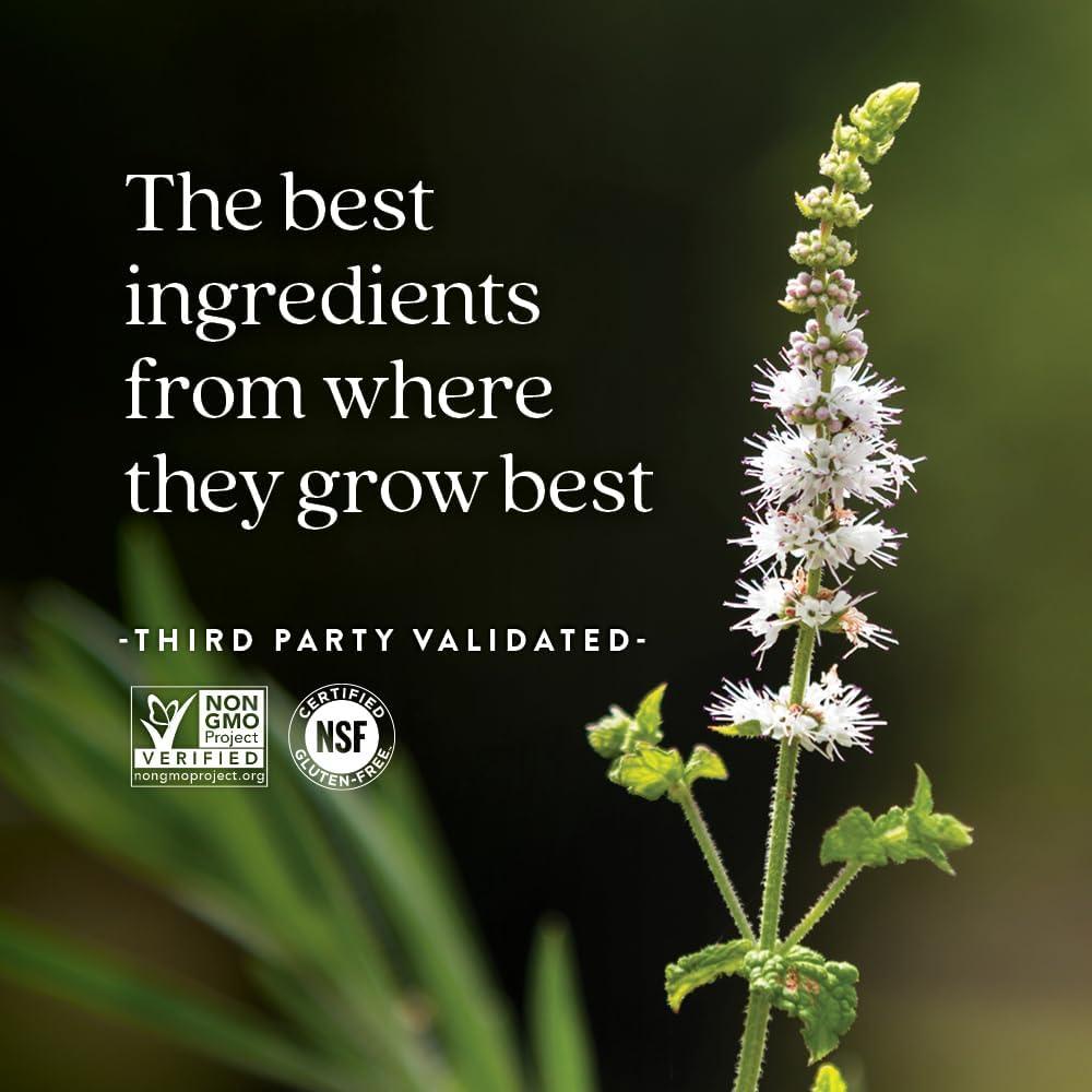 Suplemento Menopausia New Chapter 30 Cápsulas Vegetarianas