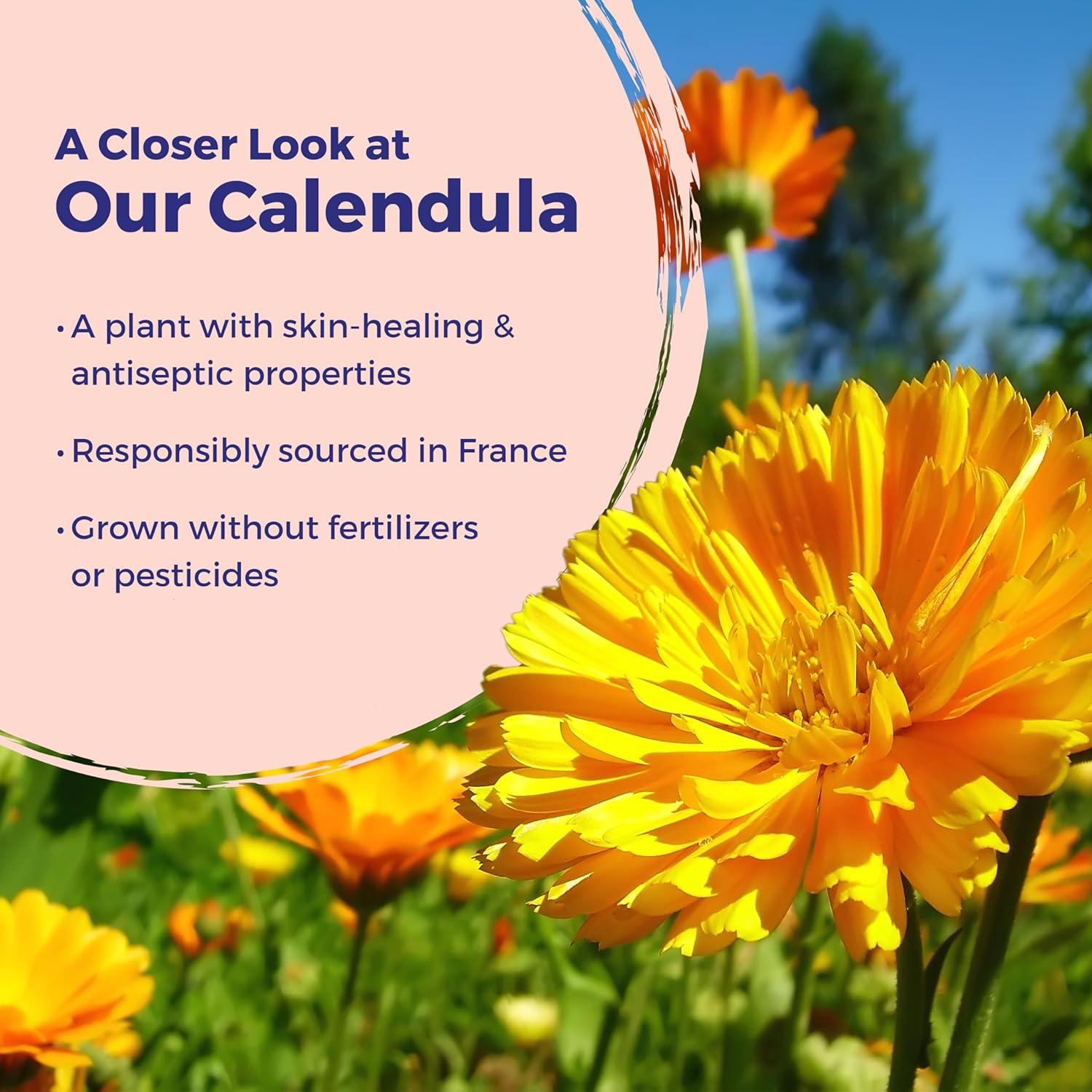 Ungüento para Quemaduras Calendula Boiron 28.35 g Natural