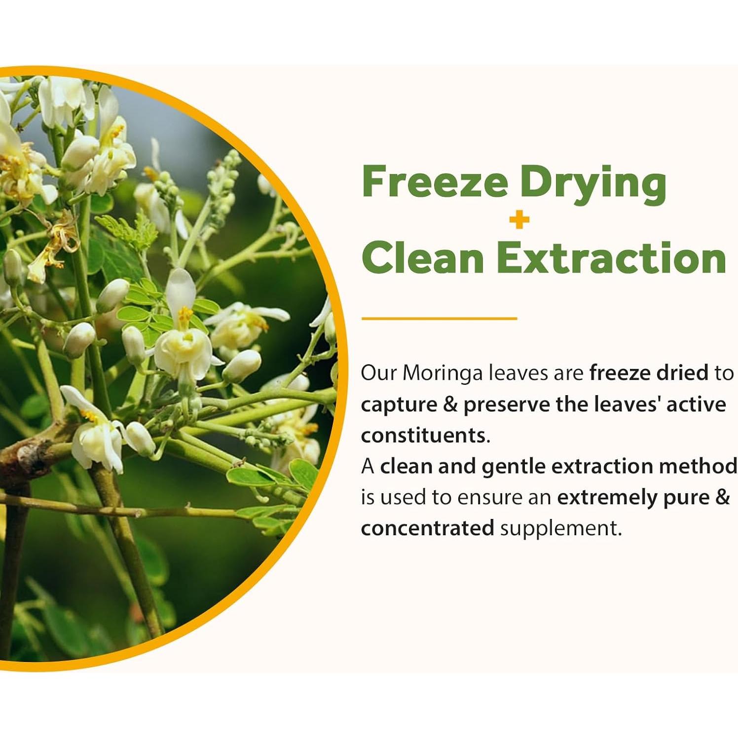 Suplemento de Moringa 11,000 mg Recetas del Doctor 180 Cápsulas