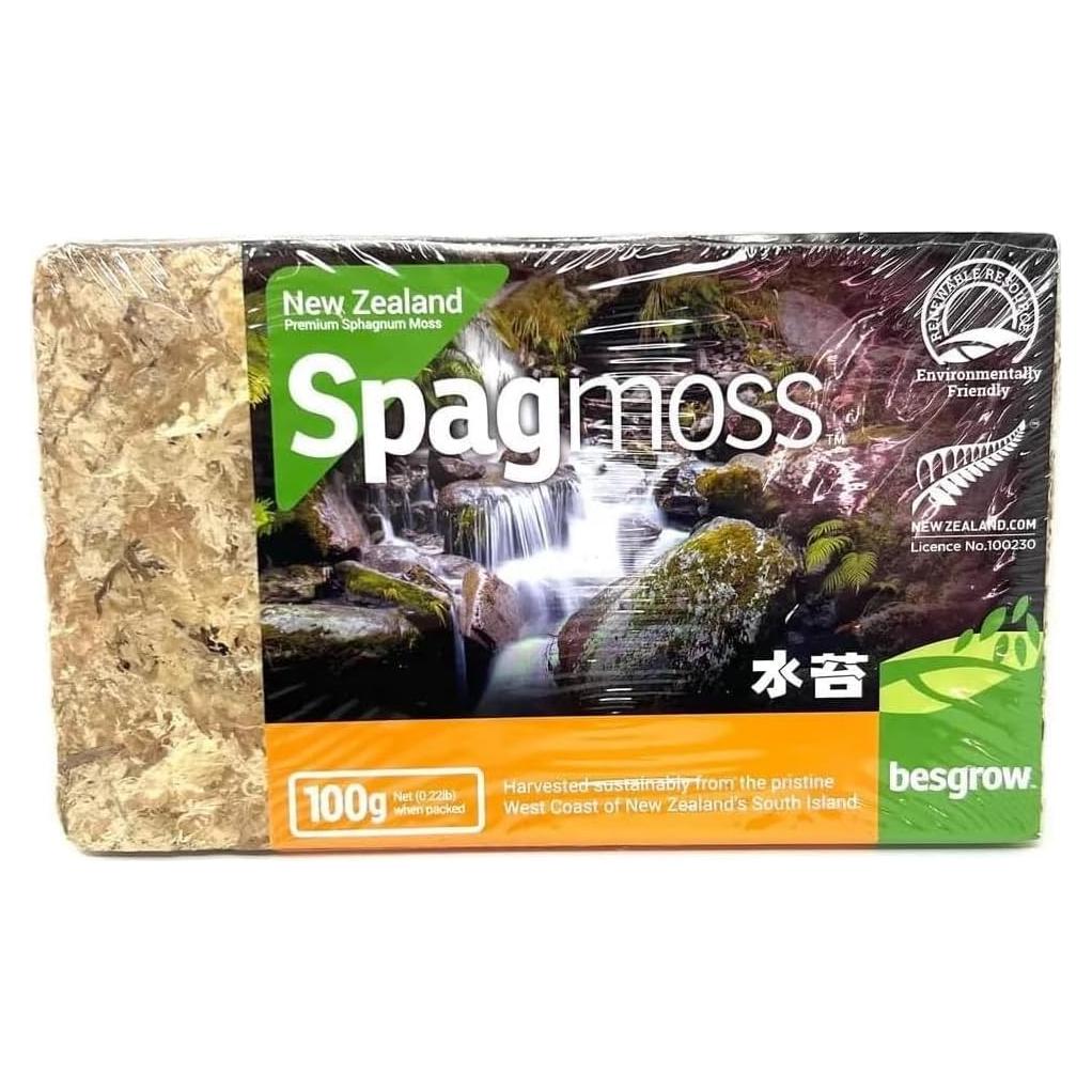 Musgo Sphagnum Premium Besgrow 100g - Ideal para Orquídeas