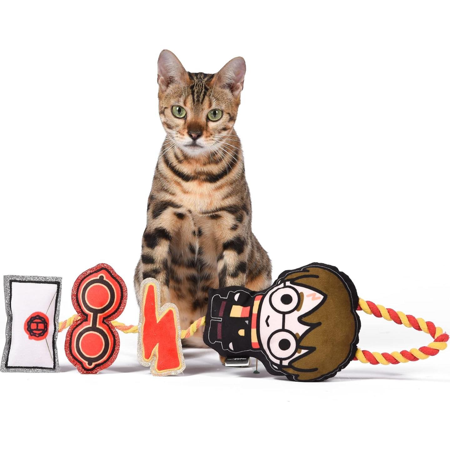 Juguete para Gato Harry Potter Colgador de Puerta 55,88 cm