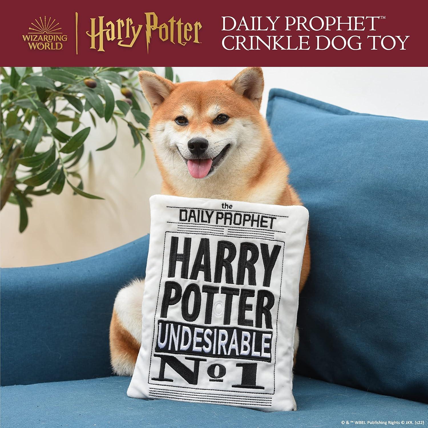 Juguete de Peluche para Perros Harry Potter Diario Profeta