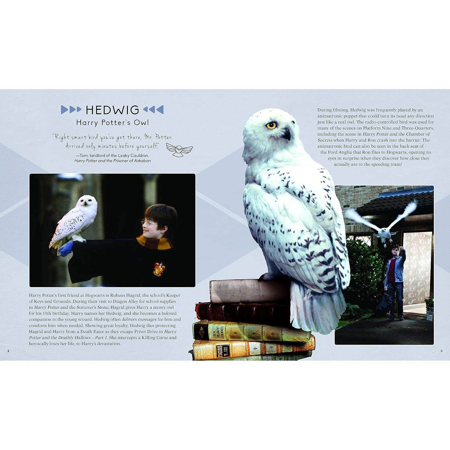 Harry Potter Hedwig Owl 3D Wood Puzzle & Model Figure Kit (24 Pcs) - Build & Paint Your Own 3-D Book & Movie Toy - Officially Licensed - No Glue Required - Gift for Kids, Teens & Adults