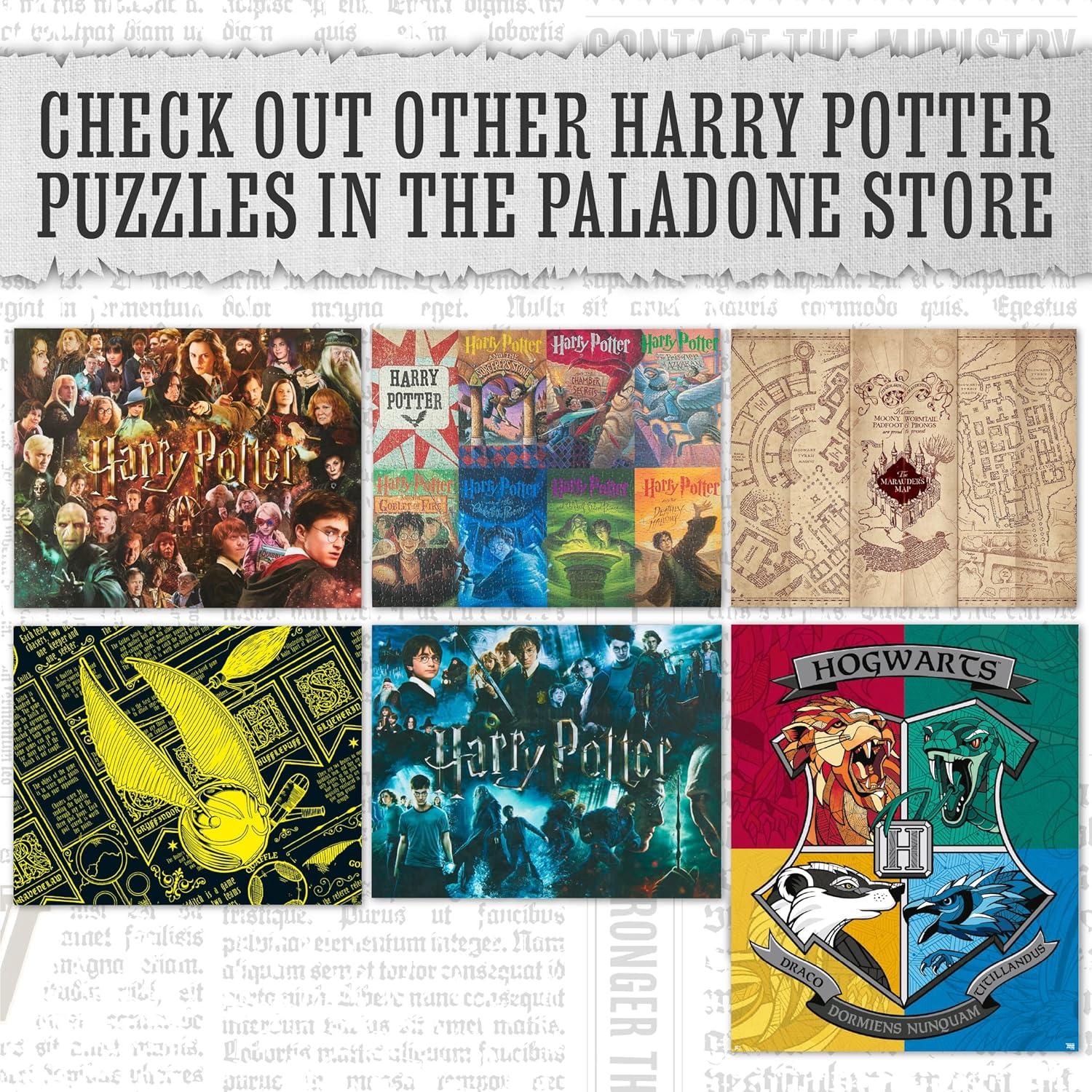 Rompecabezas Harry Potter Poción Multijugos 1000 piezas