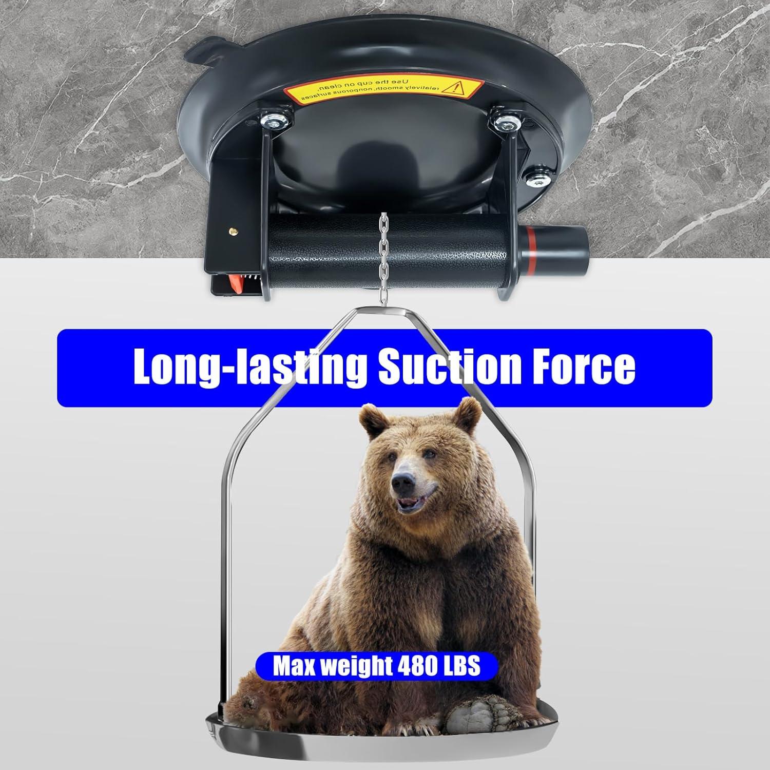 Paquete de 2 Ventosas de Vidrio BaoNeedy 20 cm Alta Resistencia